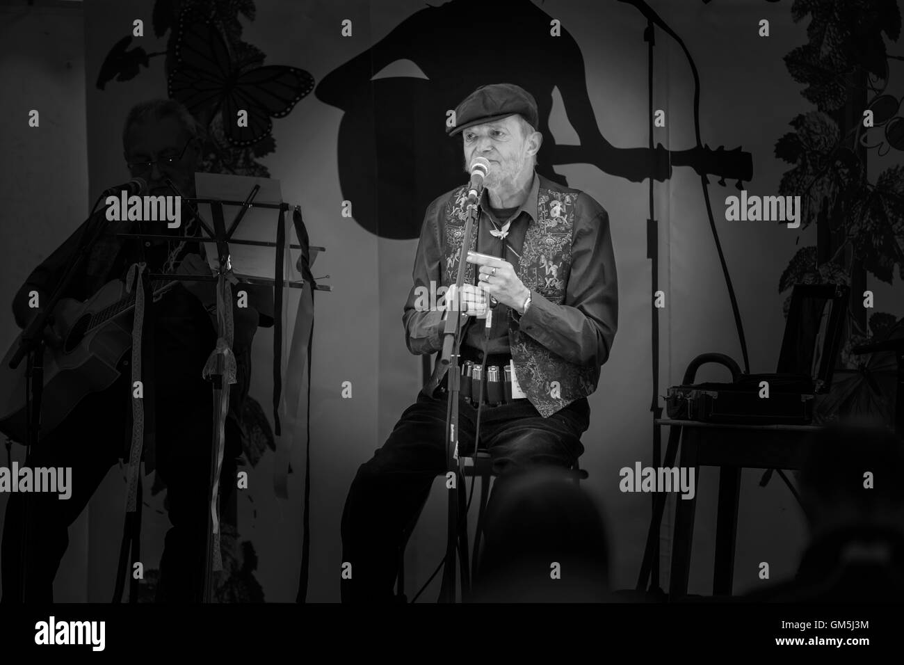 2016 l'Ombrello Festival Fiera Northampton Foto Stock