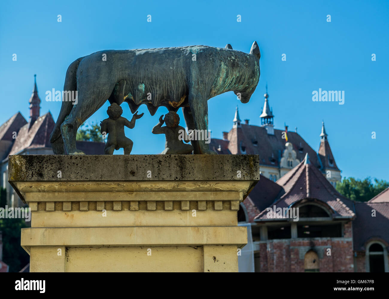 Lupo capitolino statua con Romolo e Remo gemelli in Sighisoara città, regione di Transilvania in Romania Foto Stock