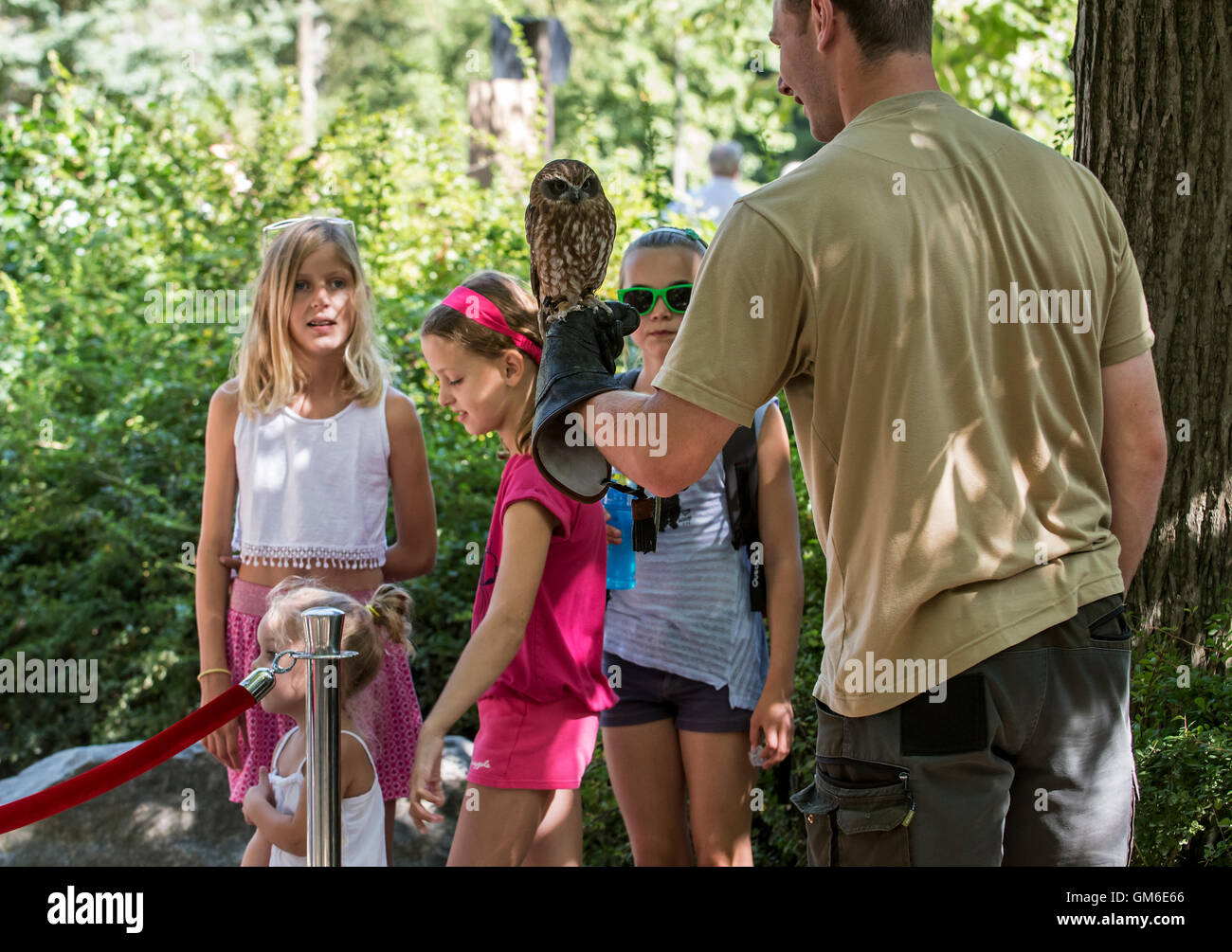 Zookeeper mostra gufo di affascinato i bambini in zoo Foto Stock