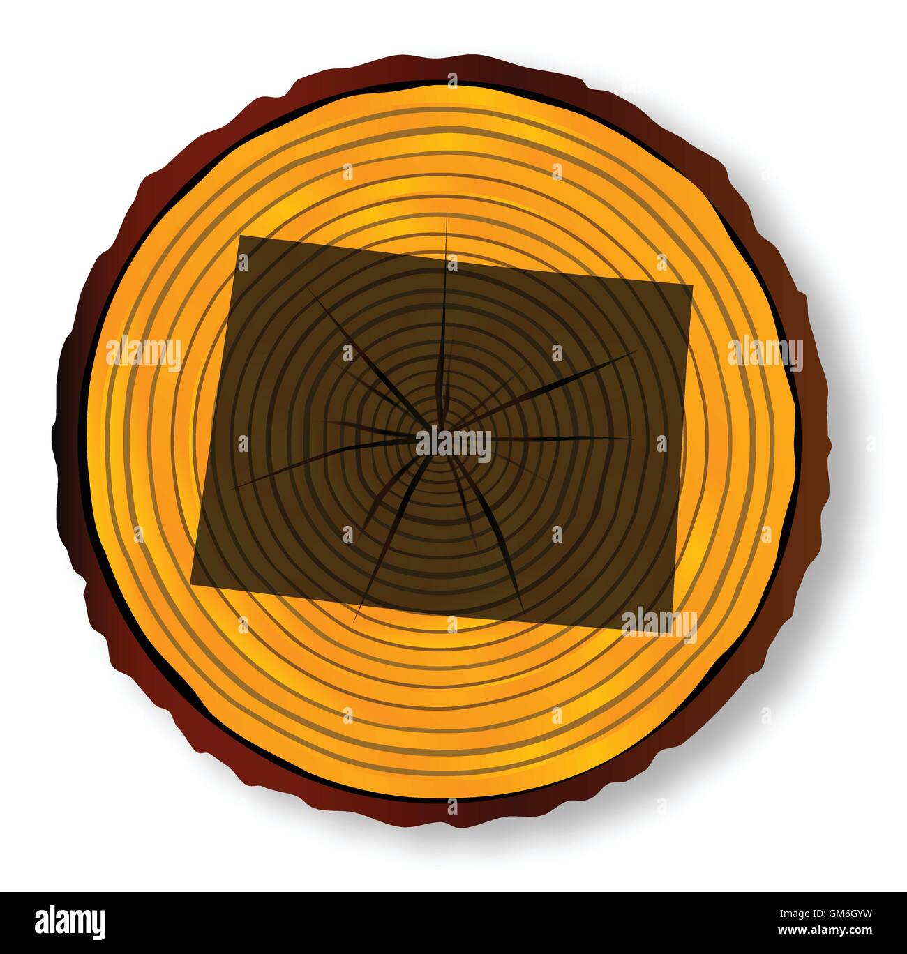 Sciarpa Morbida In Viscosa Intrecciata In Scatola Colore Blu - Foto 2