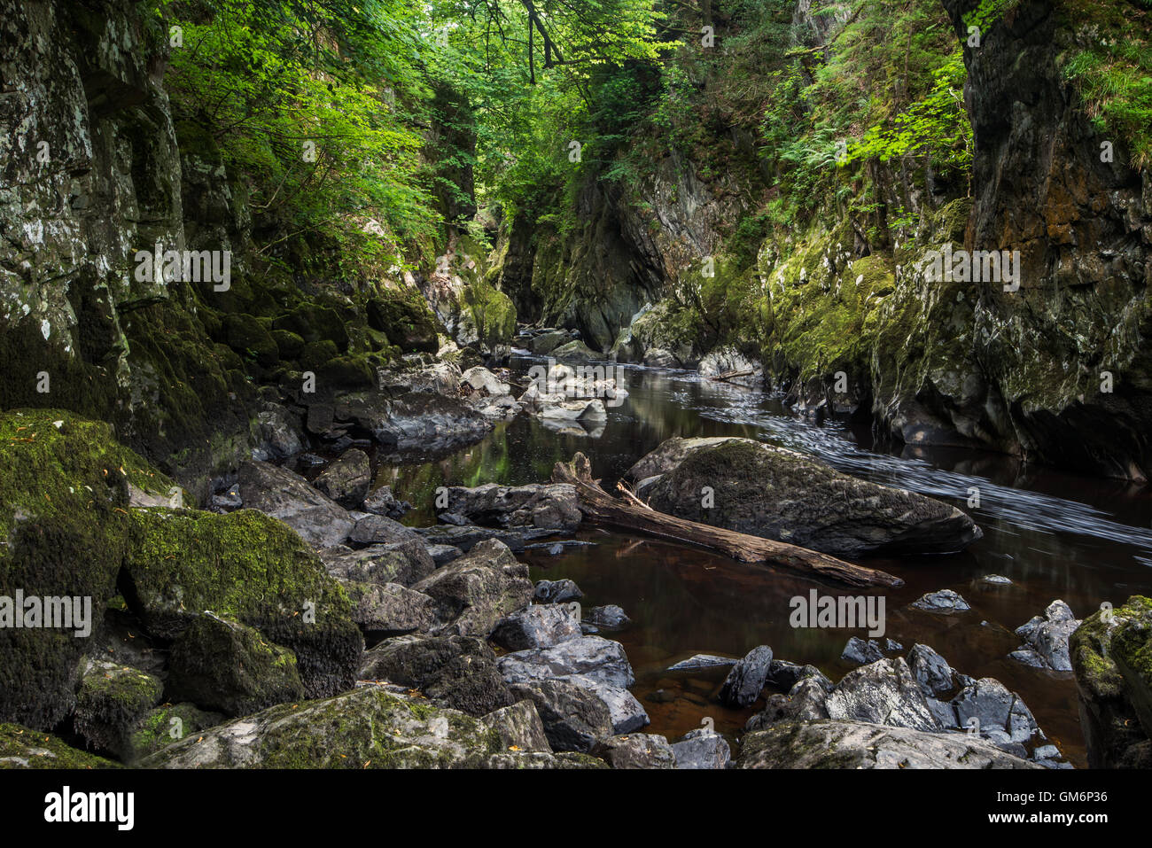 Abbastanza glen, Betws-y-Coed, Snowdonia, il Galles del Nord Foto Stock