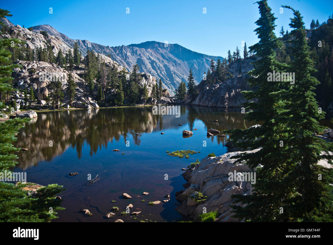 Splendido lago alpino in Benson Loop Trail nel Hoover & Yosemite deserto Humbolt-Toiyabe National Forest, CA Foto Stock