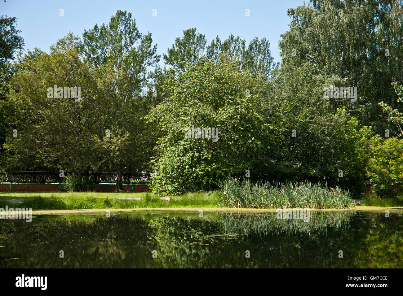 Parco della città Foto Stock