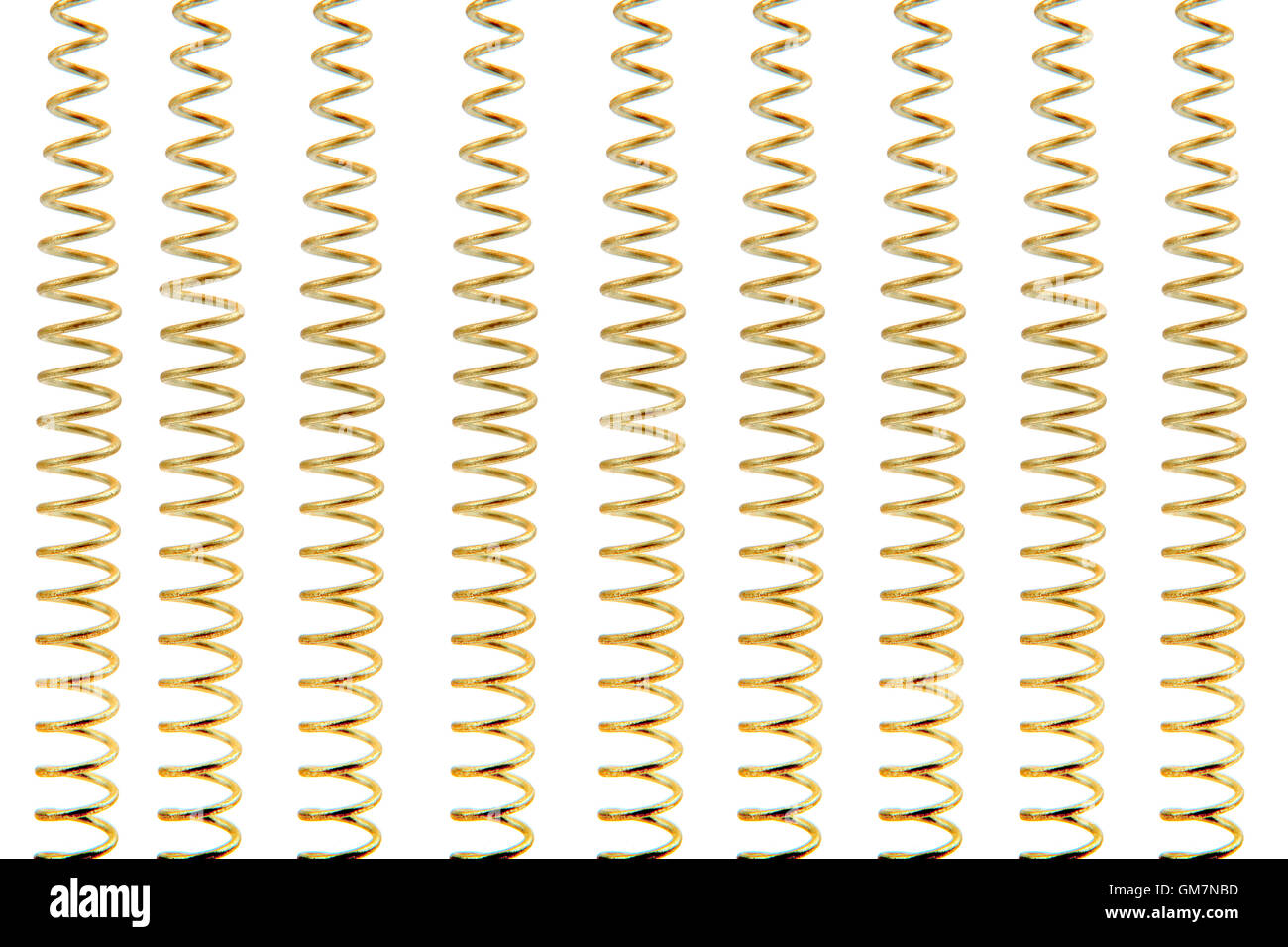 Golden molle isolato Foto Stock