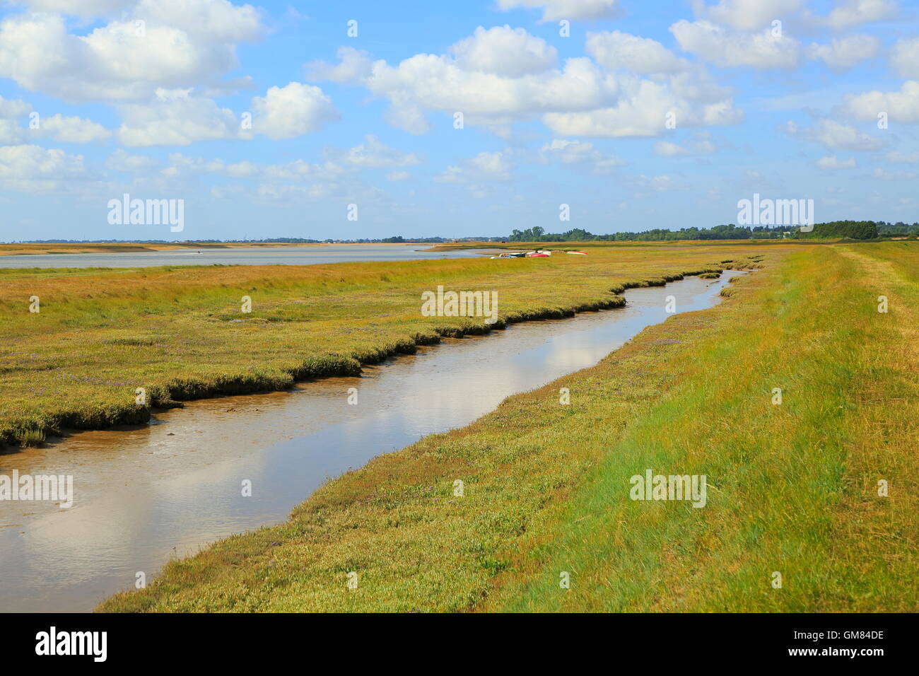 Fiume sale minerale marsh costiero alluvione banca per la difesa e il sentiero, guardando verso la strada di ciottoli, Hollesley, Suffolk, Inghilterra, Regno Unito Foto Stock