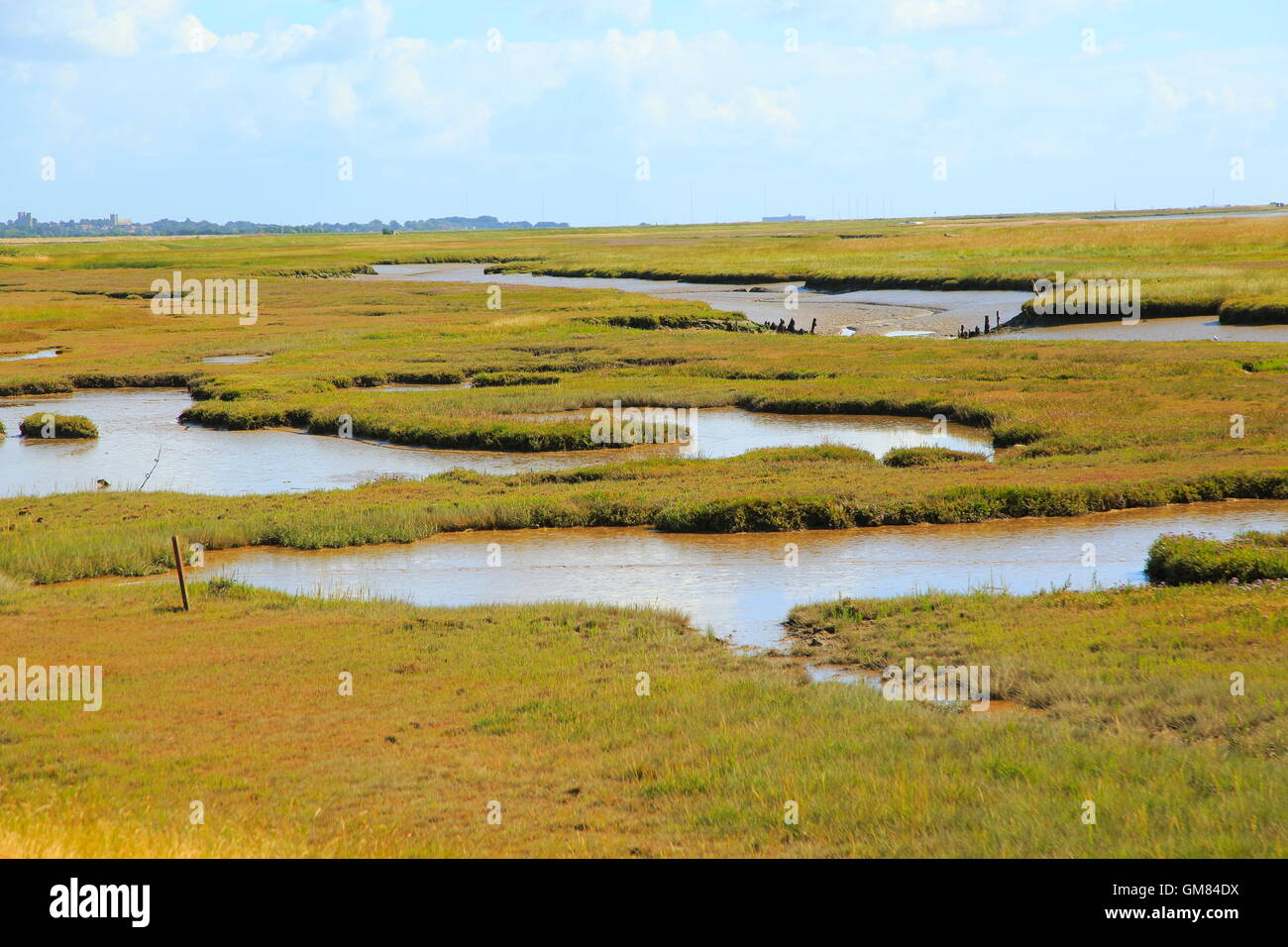 Fiume sale minerale di palude e di Orford Ness allo spiedo, guardando verso nord in direzione di Orford, Boyton, Suffolk, Inghilterra, Regno Unito Foto Stock