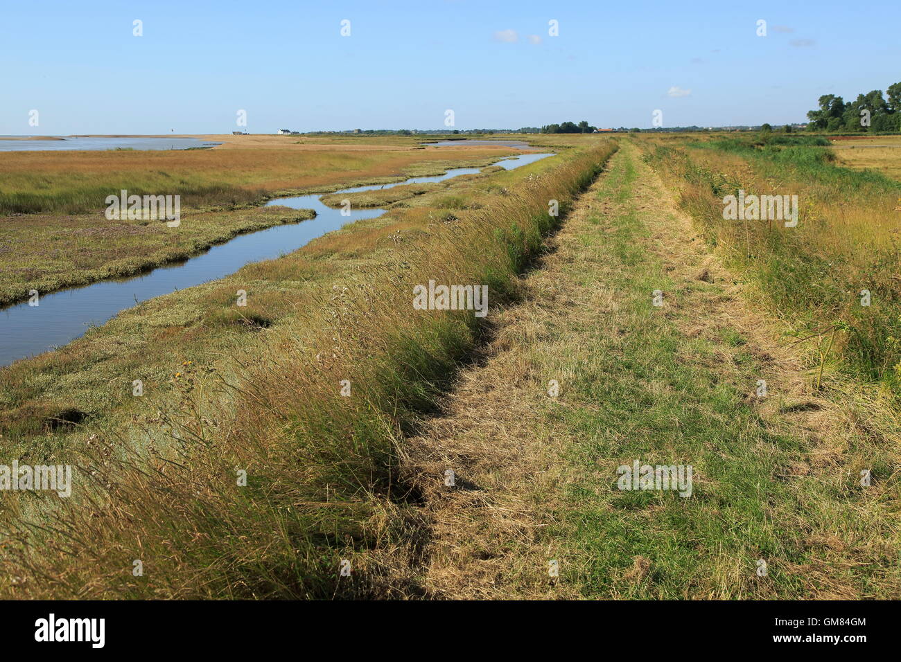 Fiume sale minerale marsh costiero alluvione banca per la difesa e il sentiero, guardando verso la strada di ciottoli, Hollesley, Suffolk, Inghilterra, Regno Unito Foto Stock