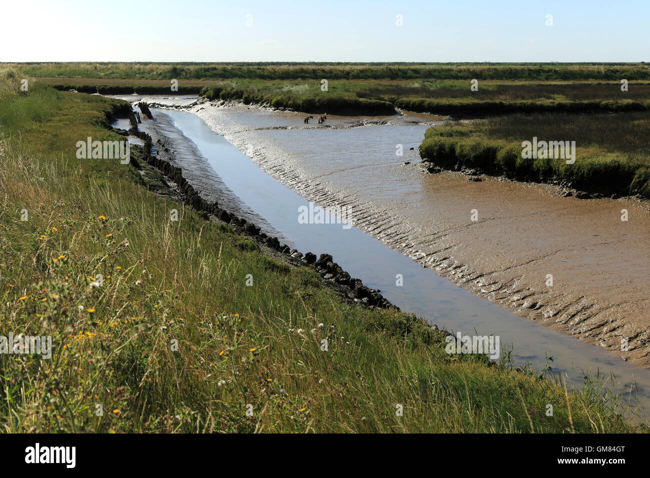 Terreni fangosi creek salt marsh fiume minerale, Orford Ness, strada di ciottoli, Hollesley, Suffolk, Inghilterra, Regno Unito Foto Stock