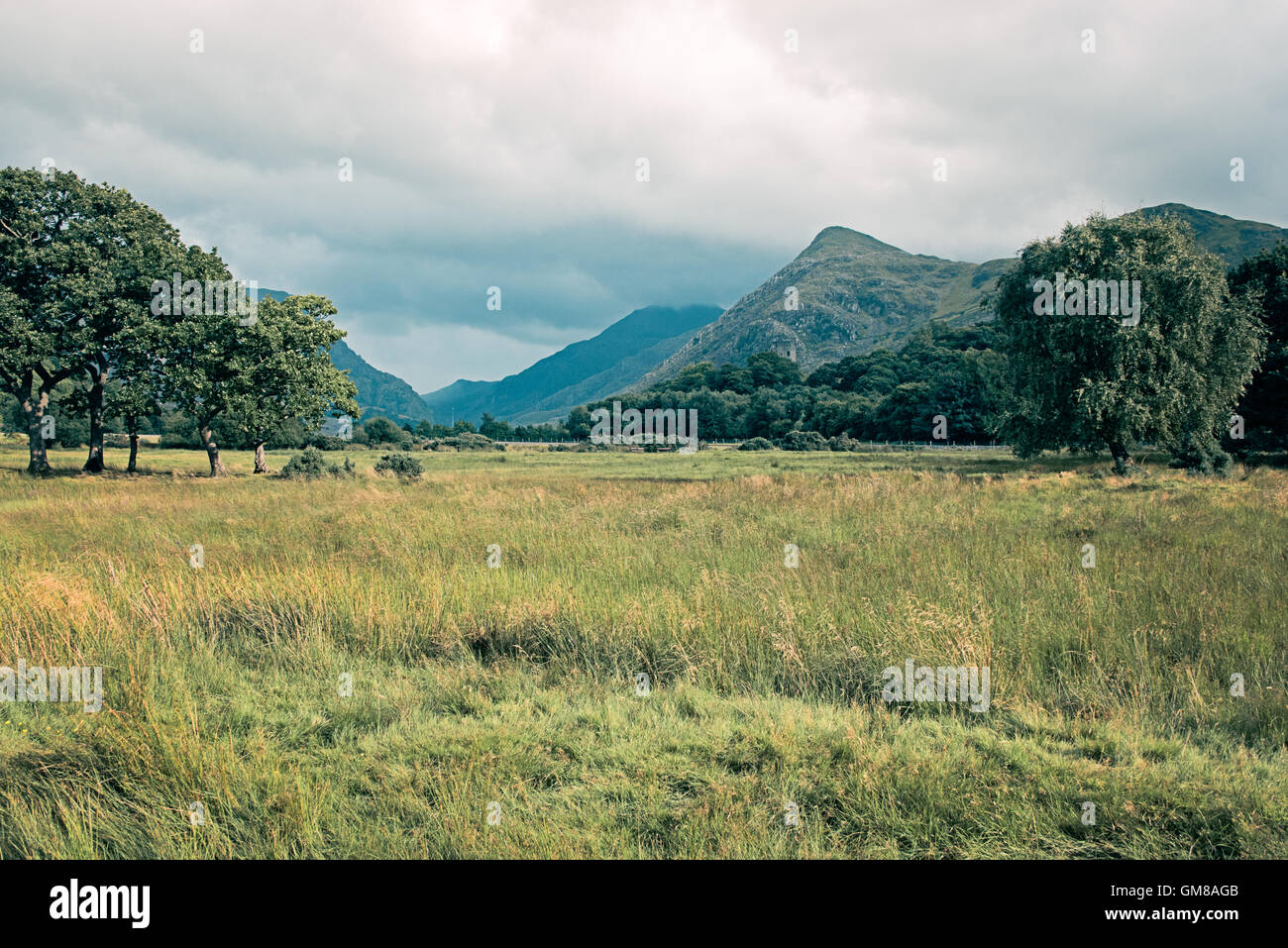 Paesaggio di montagna e campo erboso da Llyn Padarn Lake e ai piedi di Snowdon, la montagna più alta del Galles. Foto Stock