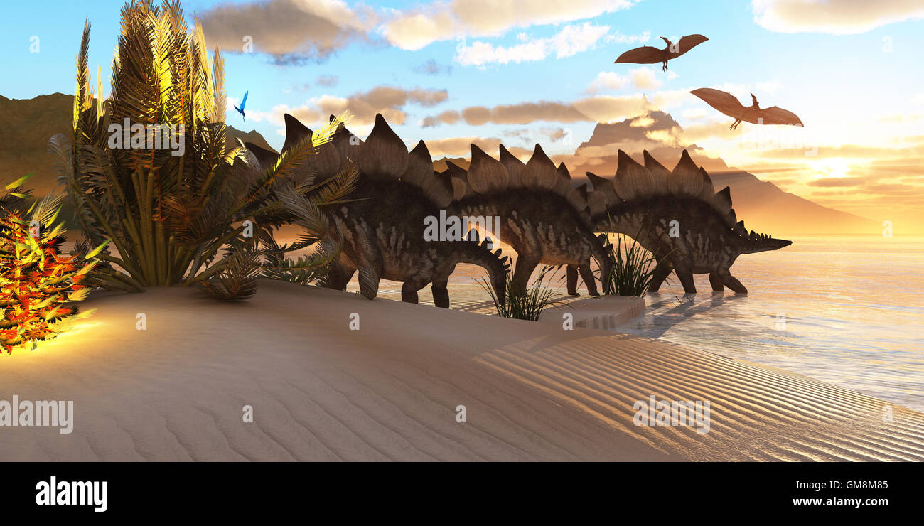 Dinosauro Stegosaurus Foto Stock