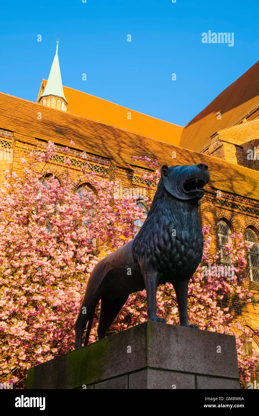 Brunswick Lion nella Cattedrale di Schwerin, Meclemburgo-Pomerania, Germania Foto Stock