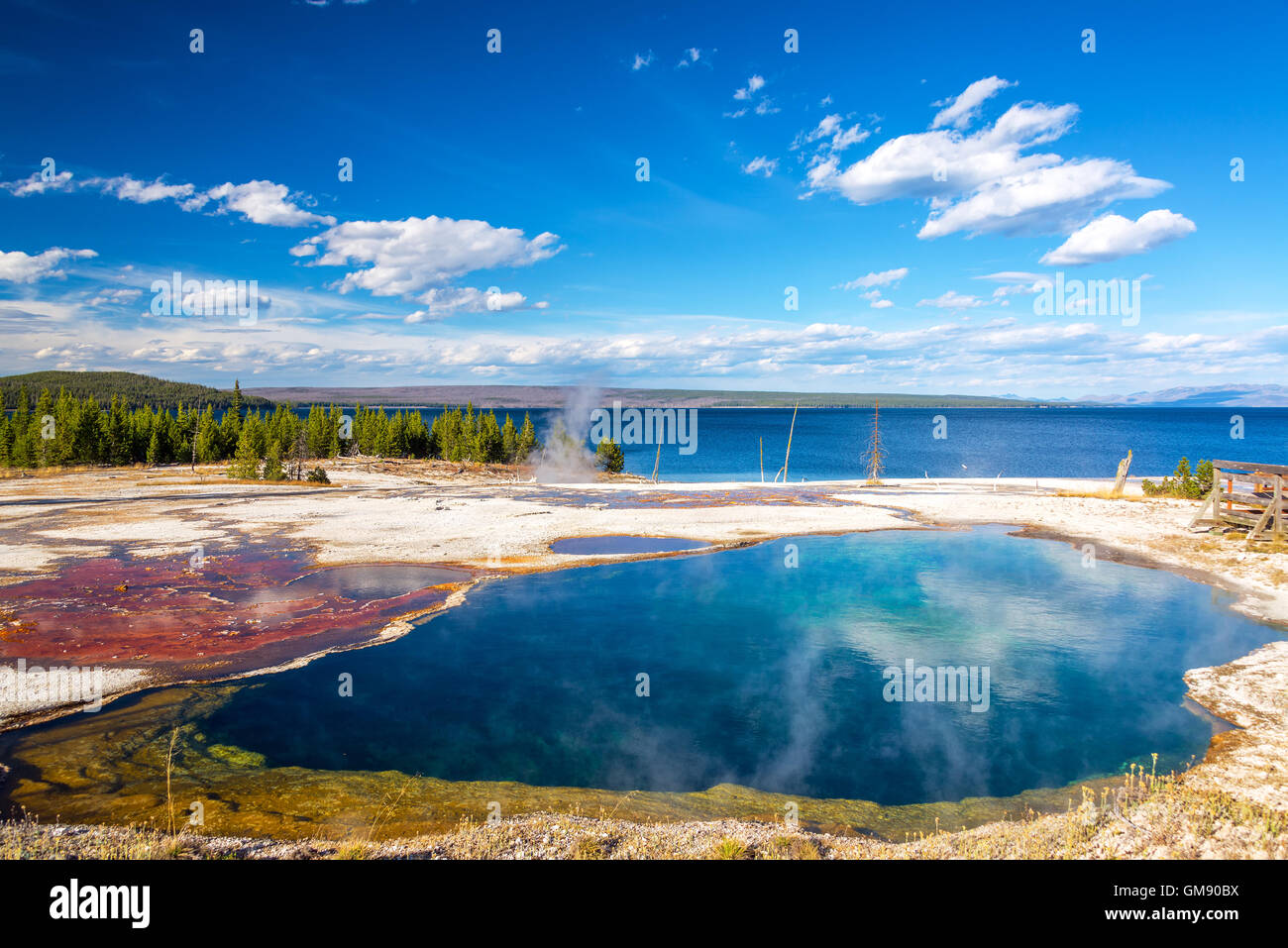 Tappetino di batteri e abisso piscina presso il West Thumb Geyser Basin nel Parco Nazionale di Yellowstone Foto Stock