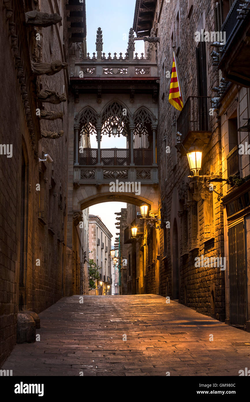 Spagna, Barcellona, Barri Gotic Foto Stock