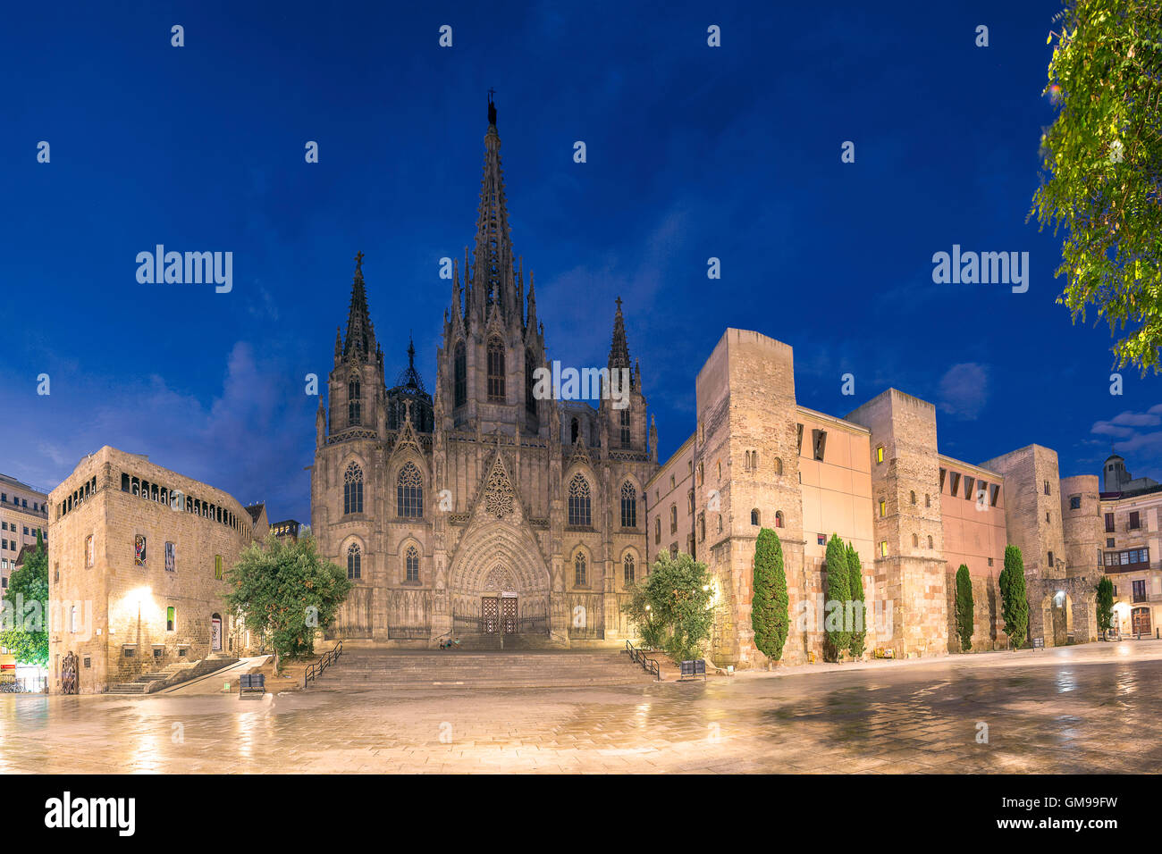 Spagna, Barcellona, Cattedrale di sera Foto Stock