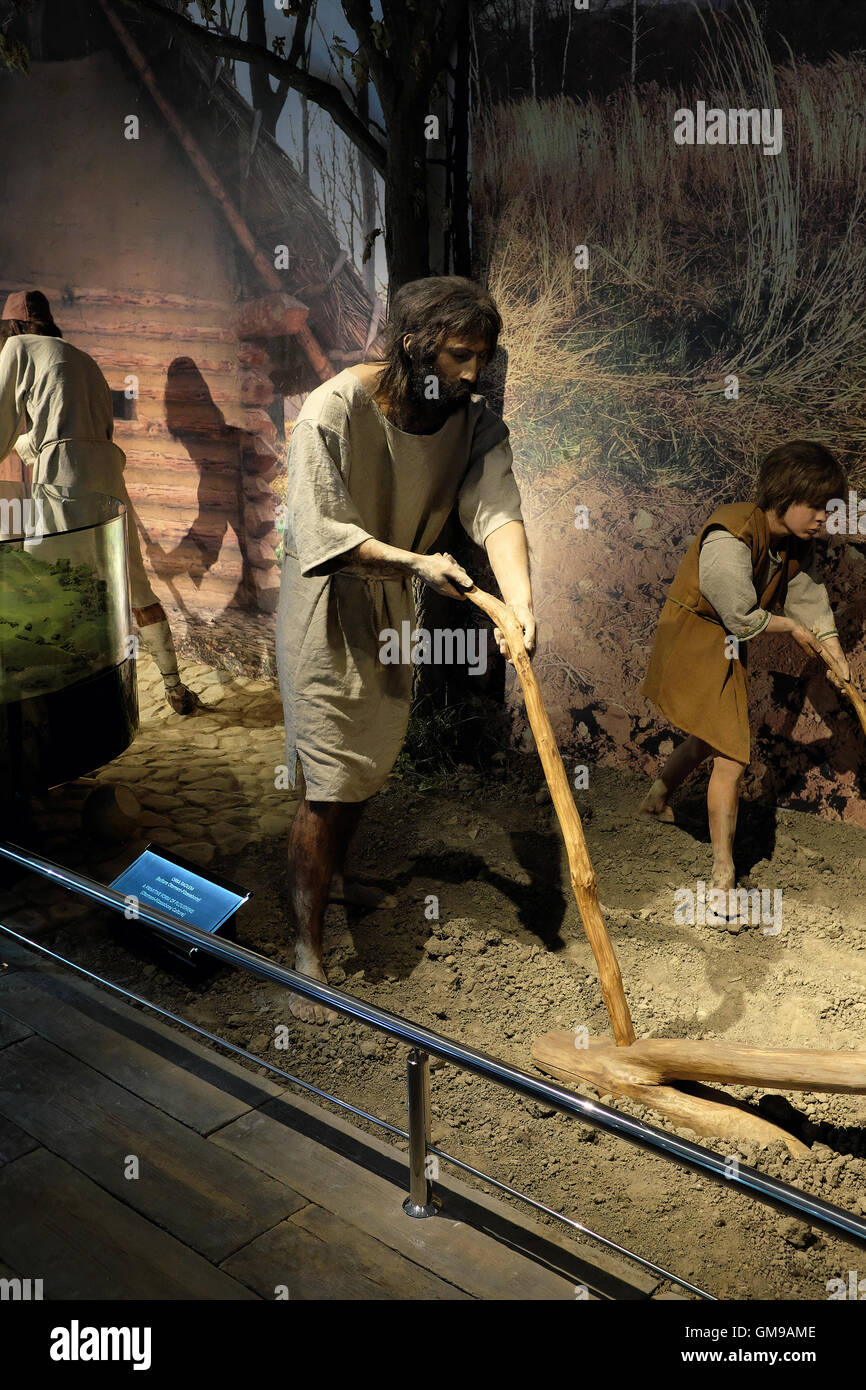 Una forma primitiva di aratura,Otomani-Fuzesabony cultura,dei Carpazi Open-Air Troy Museum di Trzcinica, Podkarpackie, Polonia Foto Stock