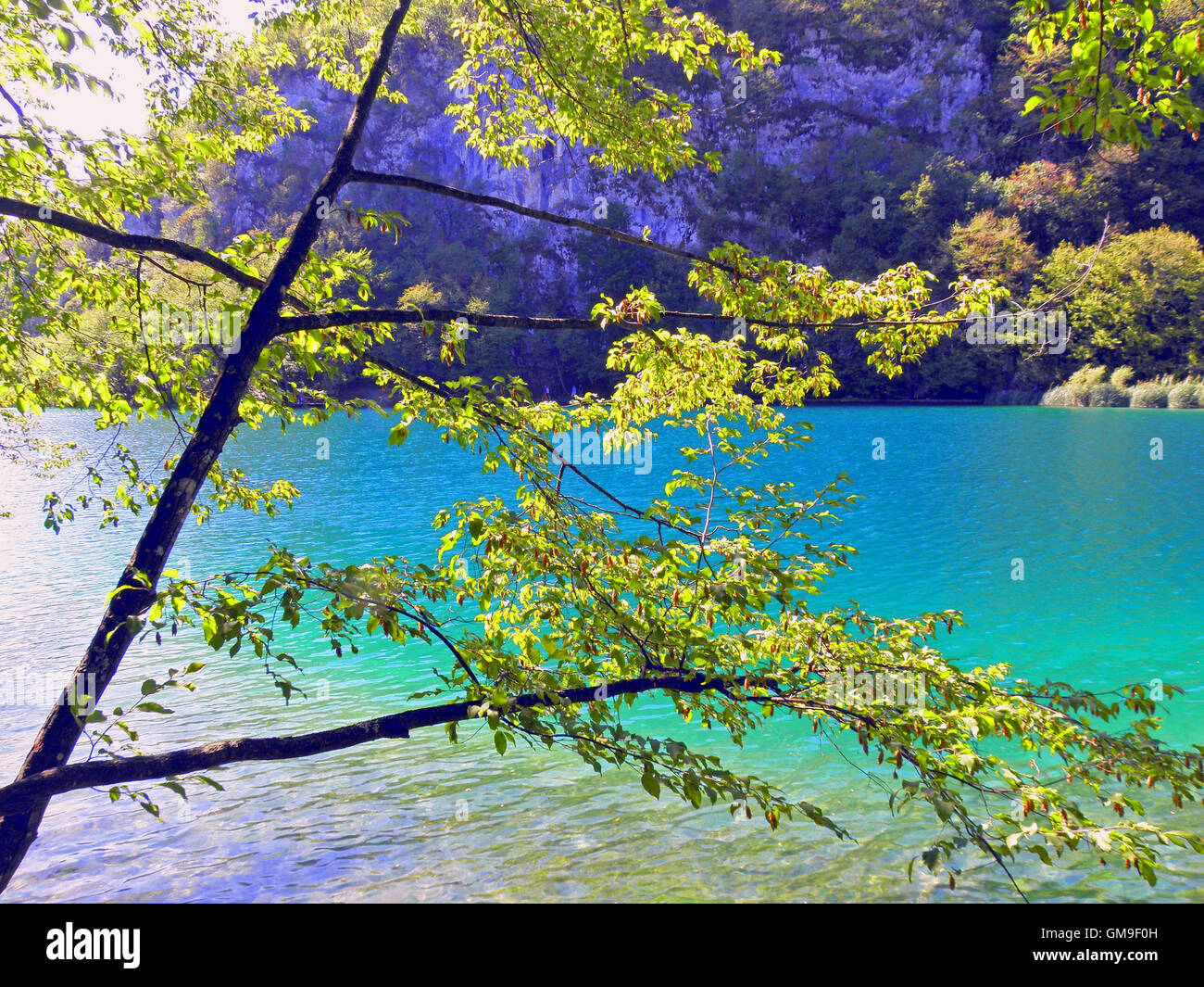 I laghi di Plitvice e cascate,6 Foto Stock