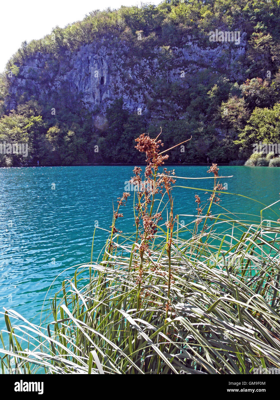 I laghi di Plitvice e cascate,7 Foto Stock