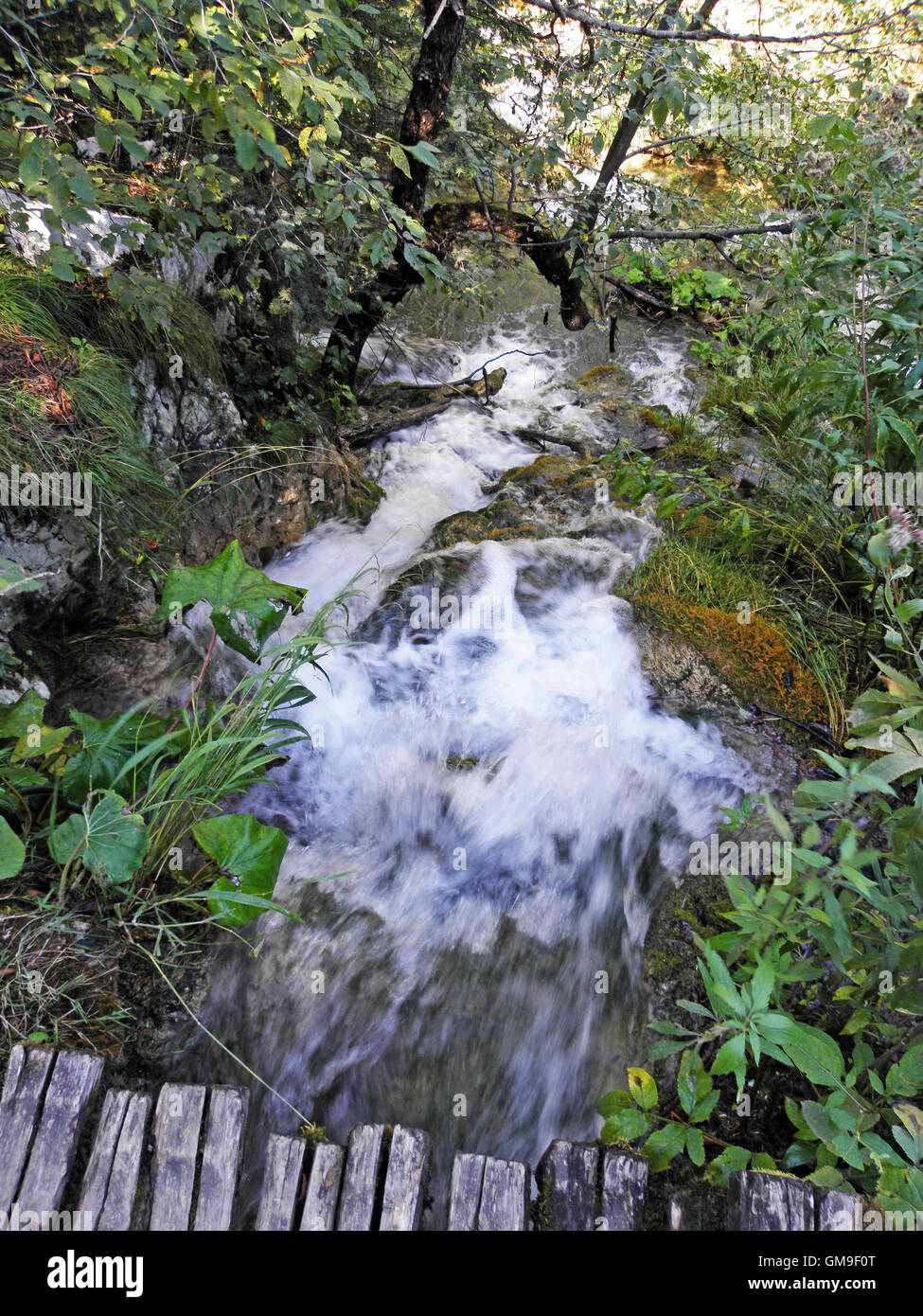 I laghi di Plitvice e cascate,10 Foto Stock