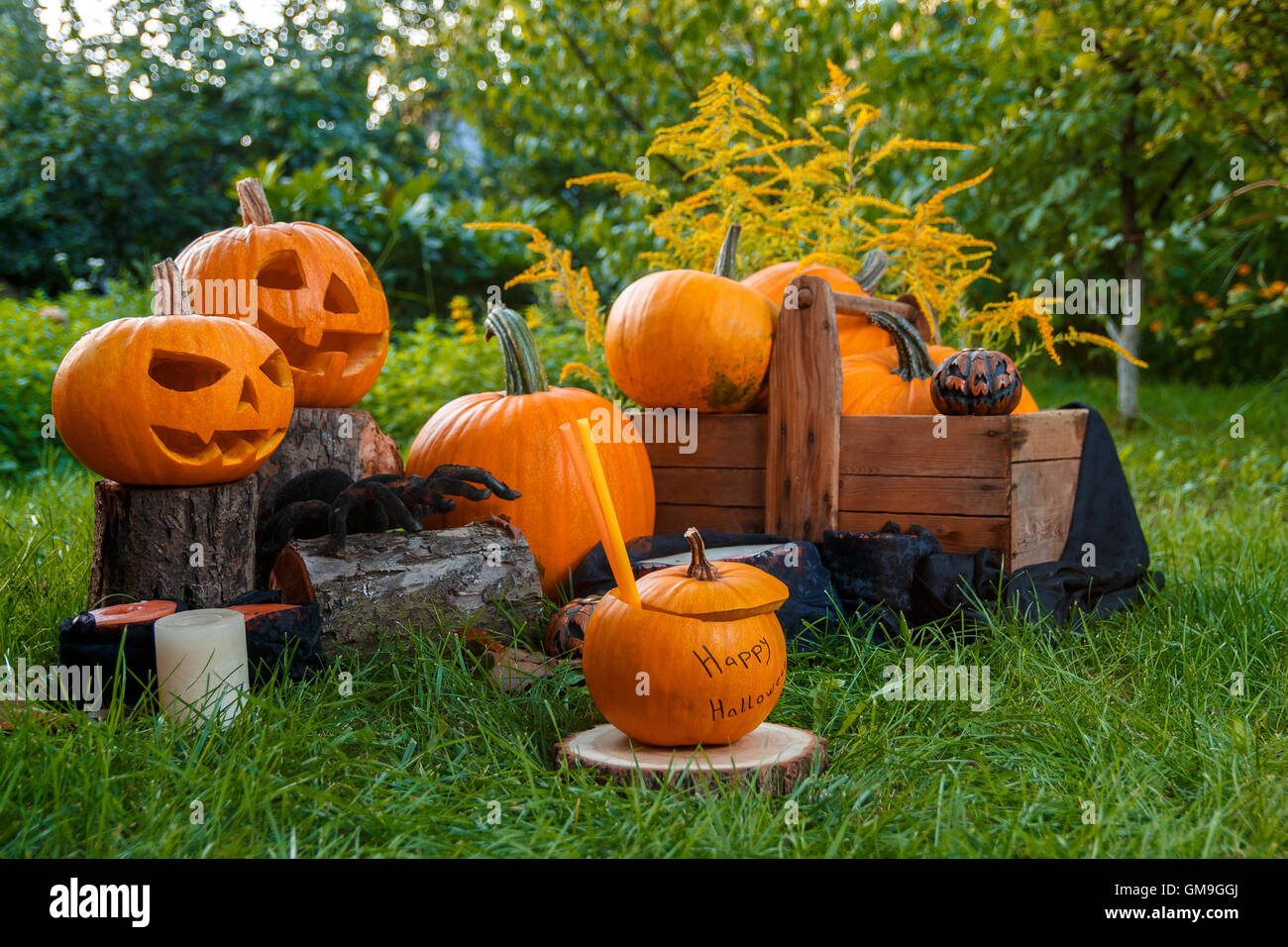 Cocktail halloween. jack-o-lantern. scary zucca con un sorriso vicino a candele e ragno nel verde della foresta, all'aperto. decorazione. pun Foto Stock