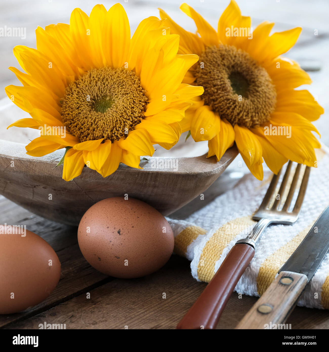 I girasoli e uova sul tavolo Foto Stock