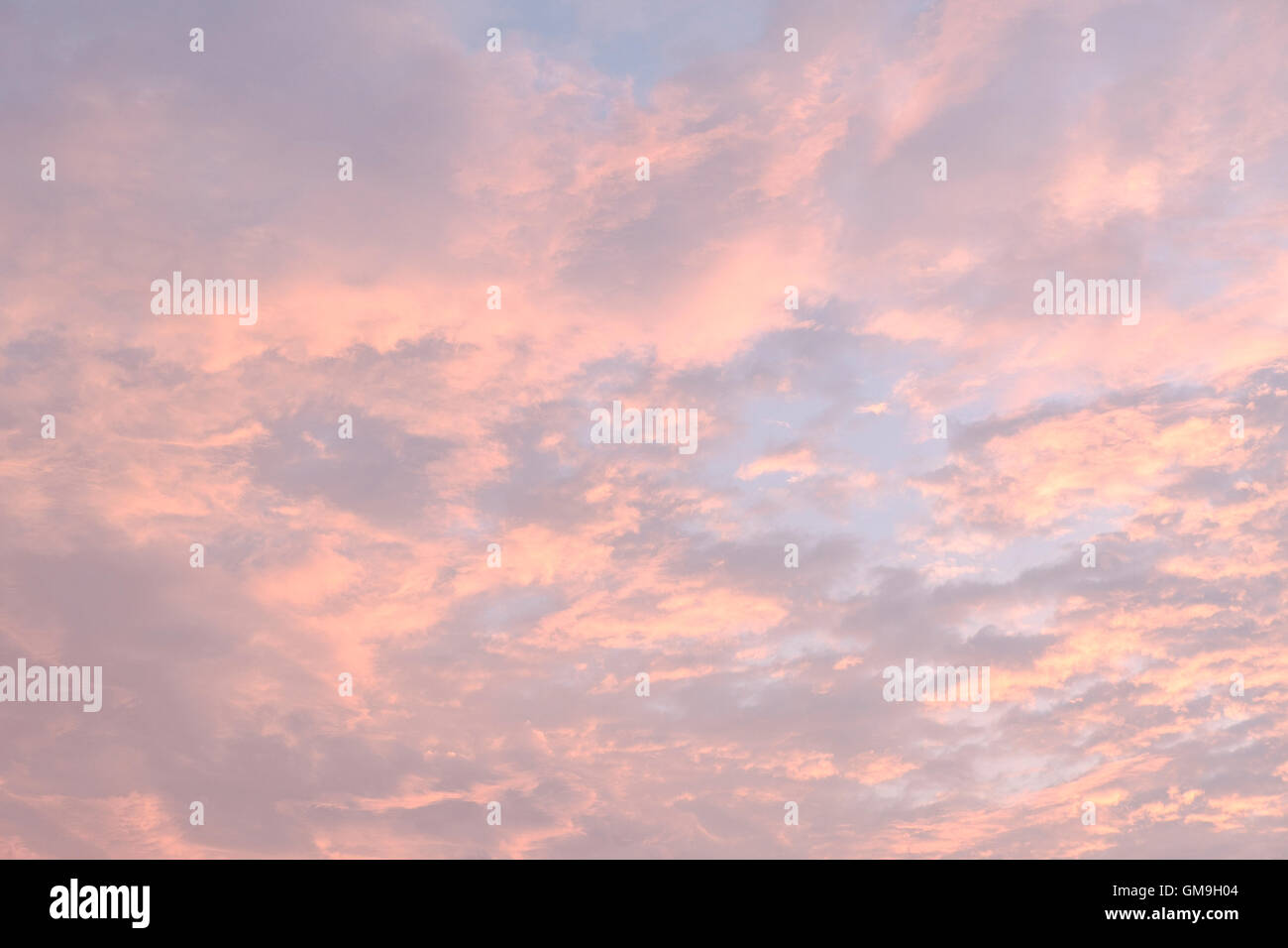 Cloudscape al tramonto Foto Stock