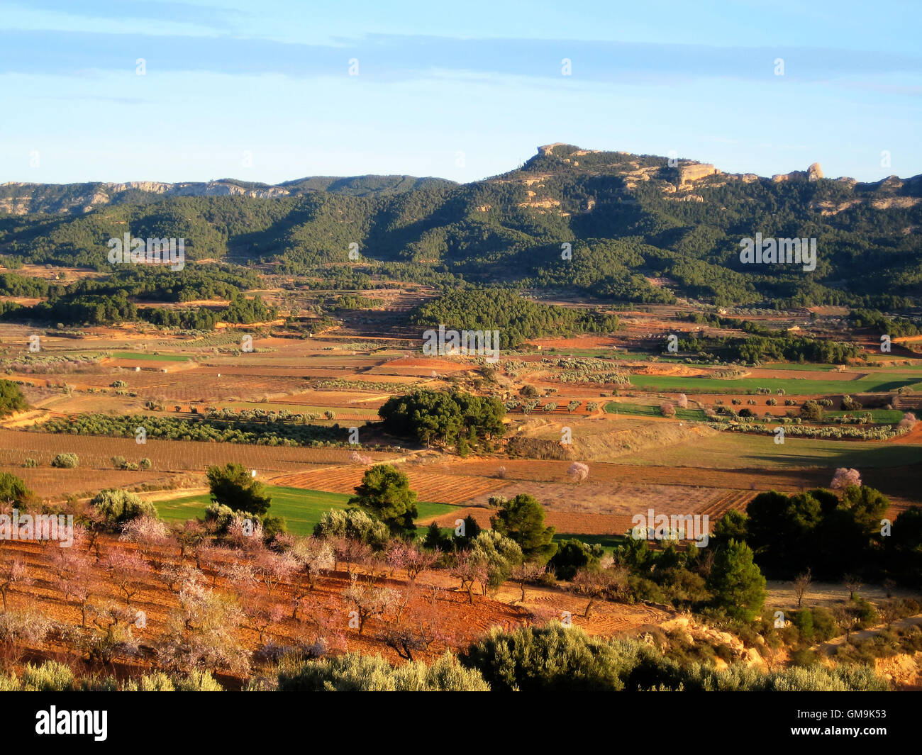 Terra Alta nella contea di paesaggio in primavera, con fiorito di mandorli e ulivi..e Serra de Pandols mountain range in Gandesa Foto Stock