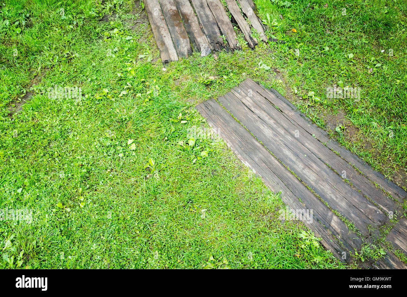 Vecchio grigio decking in legno sul prato verde erba nel parco Foto Stock