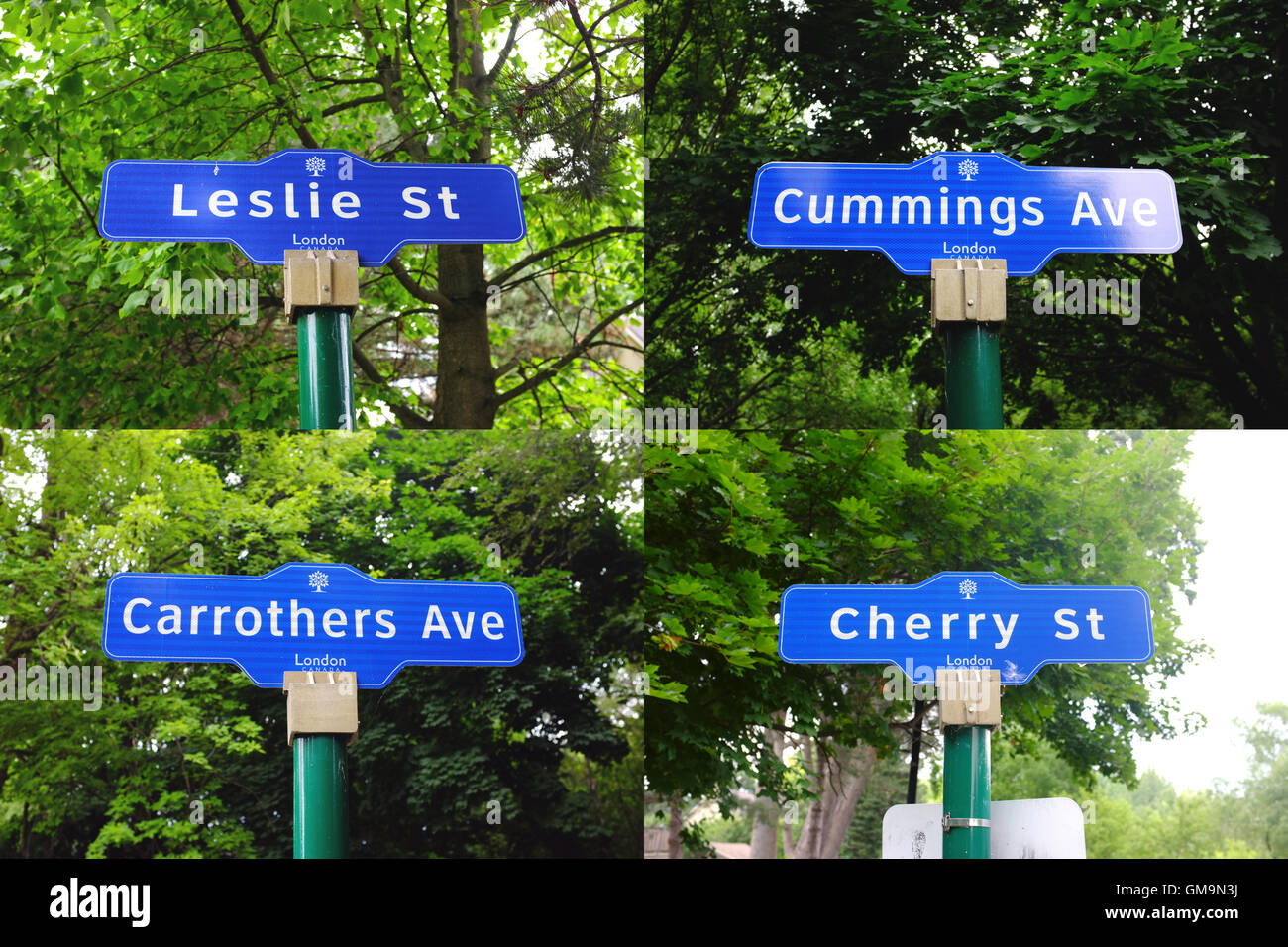 Una griglia di quattro Canadian nome strada segni. Foto Stock
