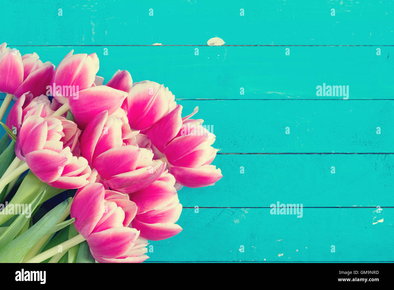 Rosa peonia tulipani su vintage sfondo blu con copia spazio. Scheda post, gift card modello. Matrimoni, compleanni, molla e summe Foto Stock