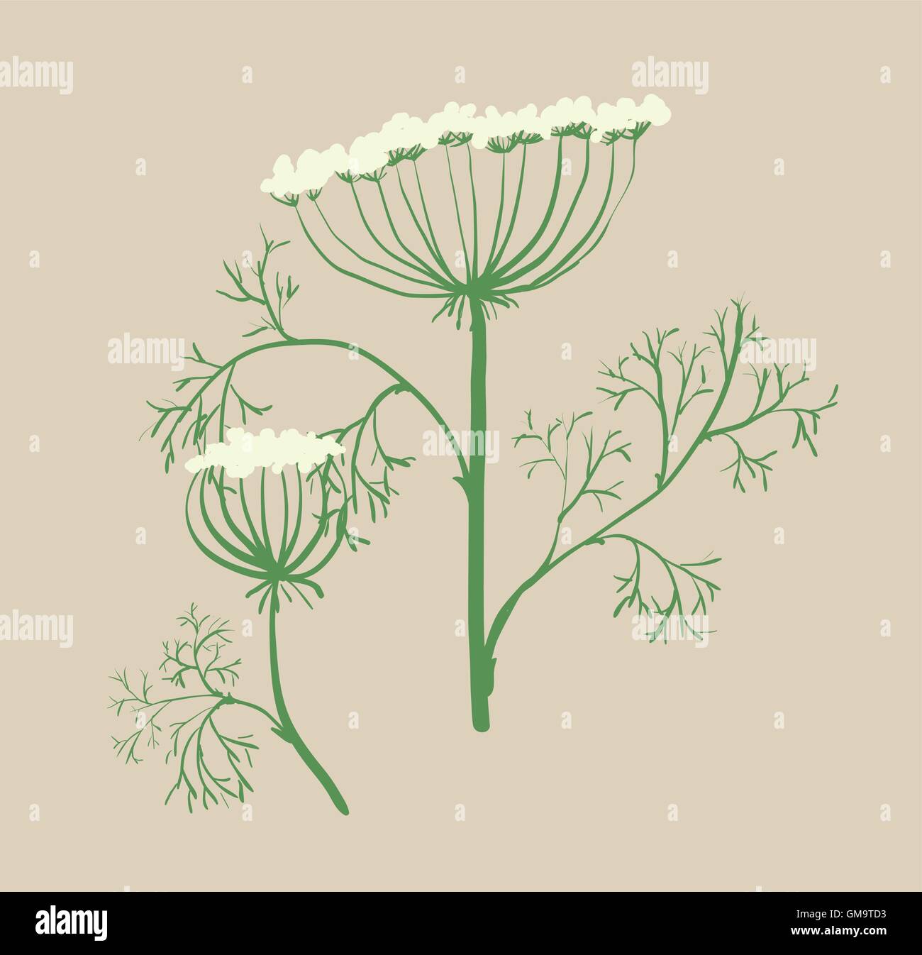 Set di floral elementi di design grafico di aneto, Ucraina Illustrazione Vettoriale