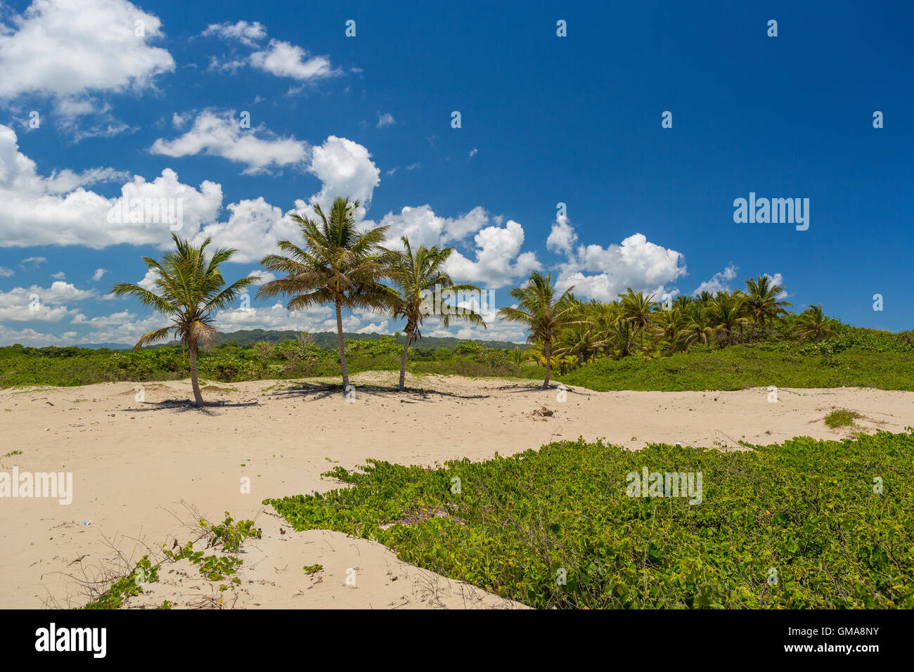 Repubblica Dominicana - Spiaggia paesaggio con palme alla foce del fiume Yasica, vicino a Cabarete. Foto Stock