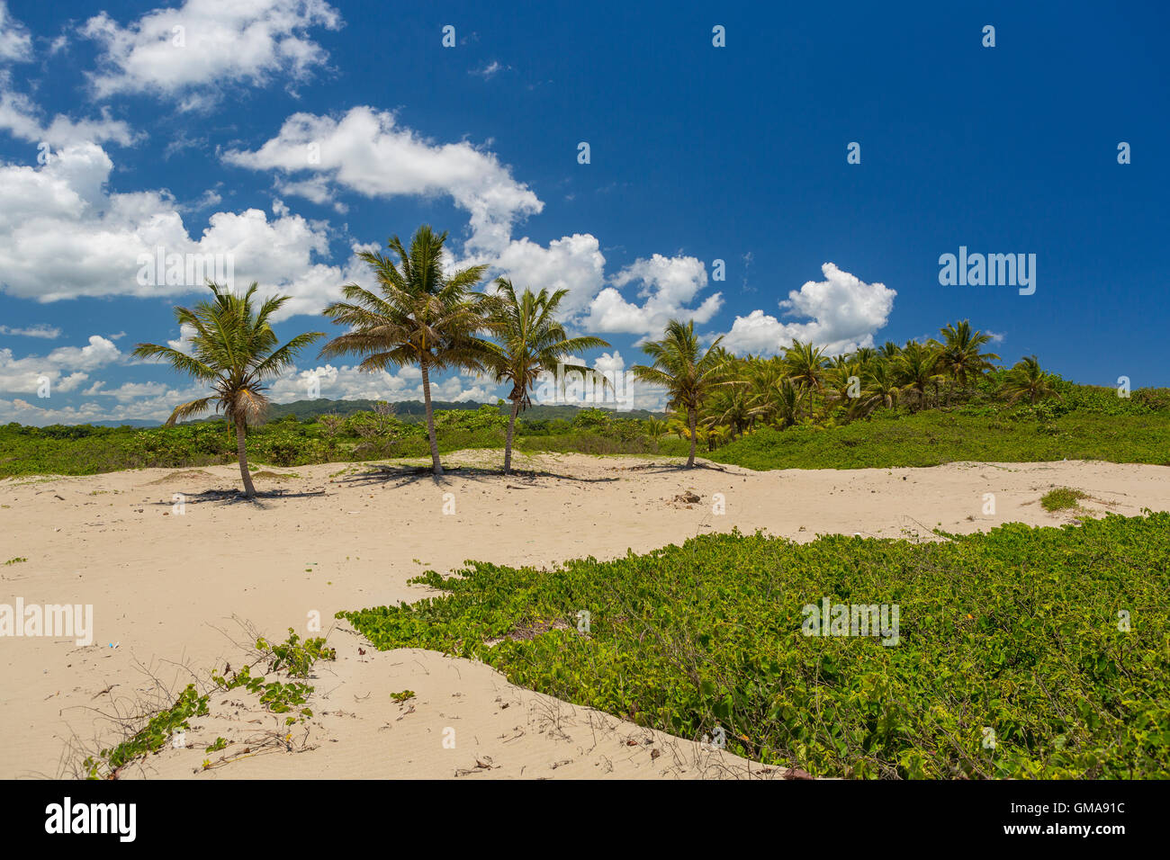 Repubblica Dominicana - Spiaggia paesaggio con palme alla foce del fiume Yasica, vicino a Cabarete. Foto Stock
