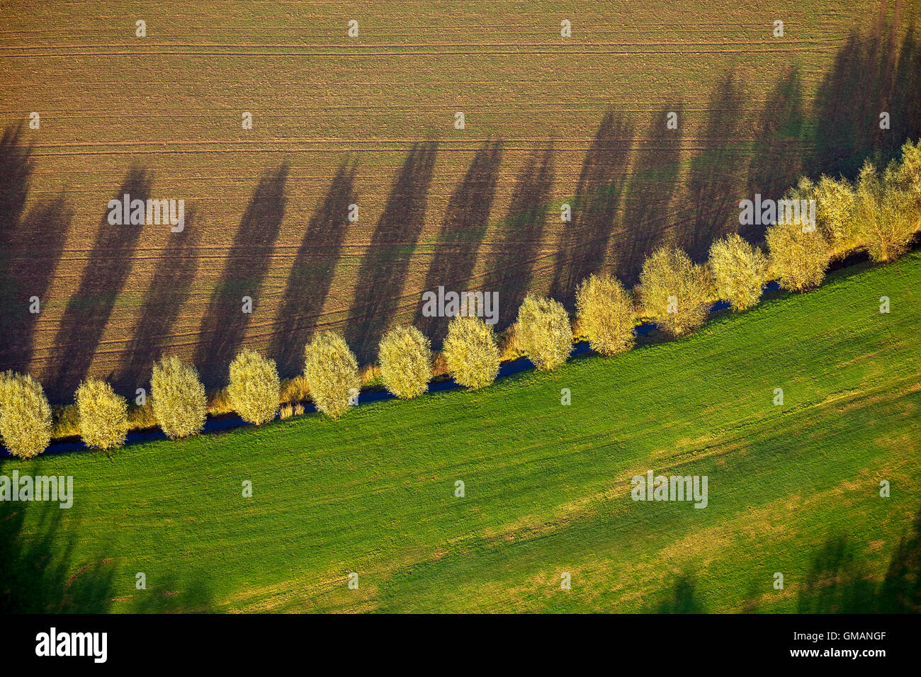 Immagine aerea, linea di albero con ombra con foglie di autunno, stream, campo, prati, pascoli, foto aerea di Duisburg,, la zona della Ruhr, Foto Stock