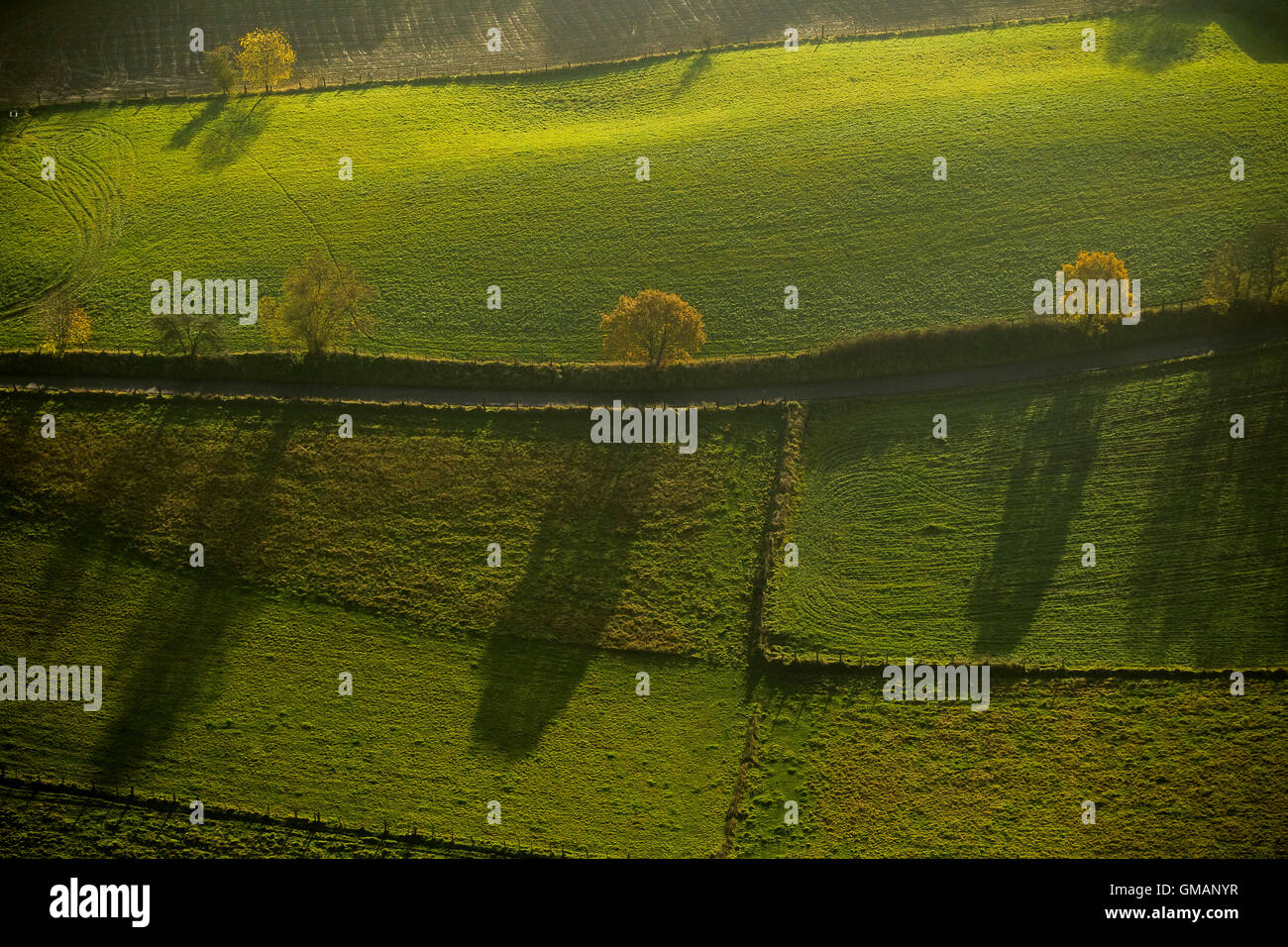 Vista aerea, prati e alberi decidui in Essen-Fischlaken, luce d'autunno, ombra shade tree,, vista aerea di Essen, la zona della Ruhr Foto Stock