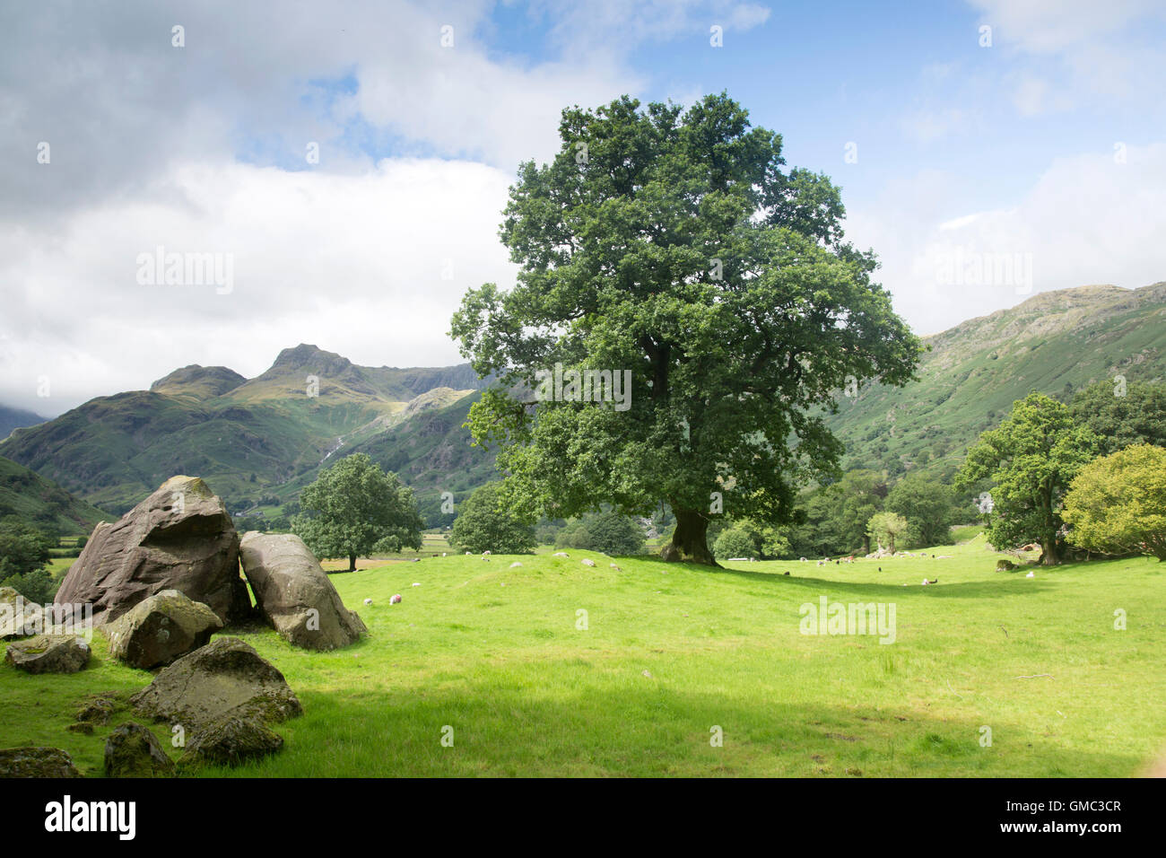 The Langdale Massi, Lake District, England, Regno Unito Foto Stock