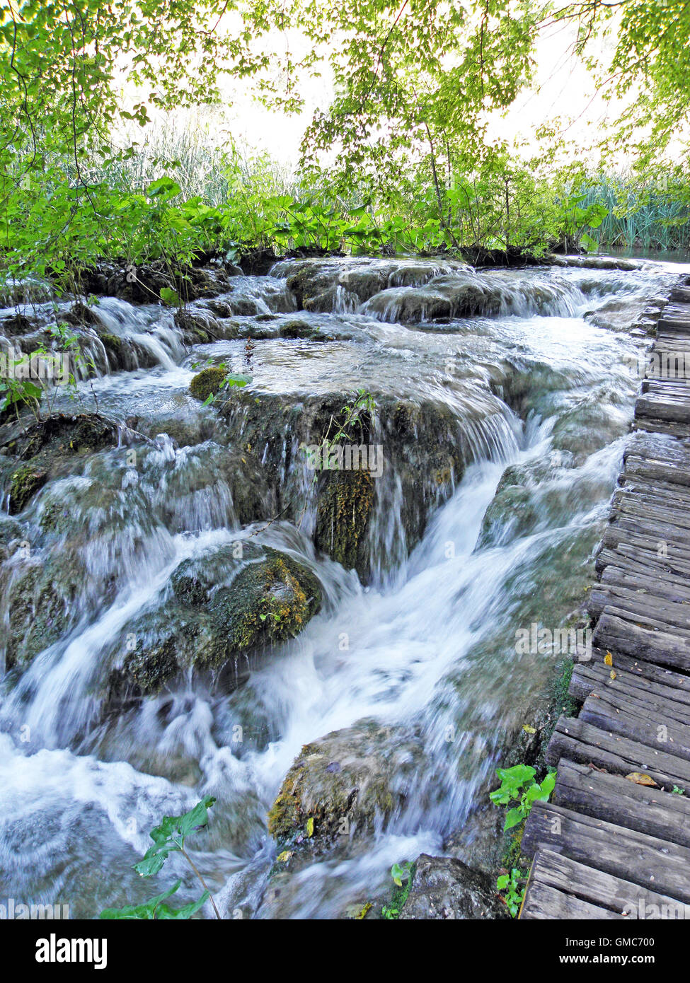 I laghi di Plitvice e cascate,croazia,l'Europa,11 Foto Stock