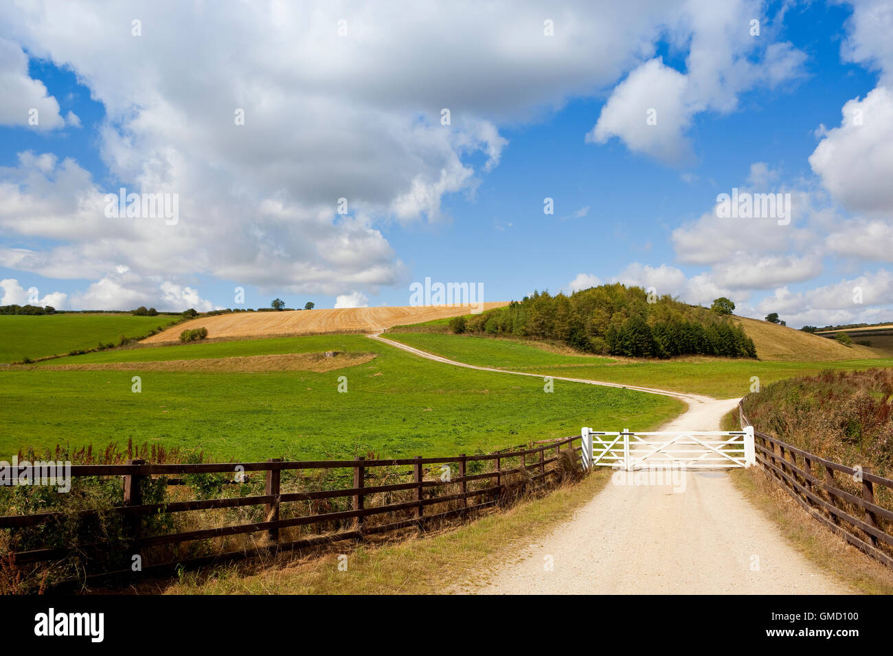 White Gates attraverso una fattoria di calcare la via con il post e cancellate il paesaggio panoramico del Yorkshire wolds in estate Foto Stock