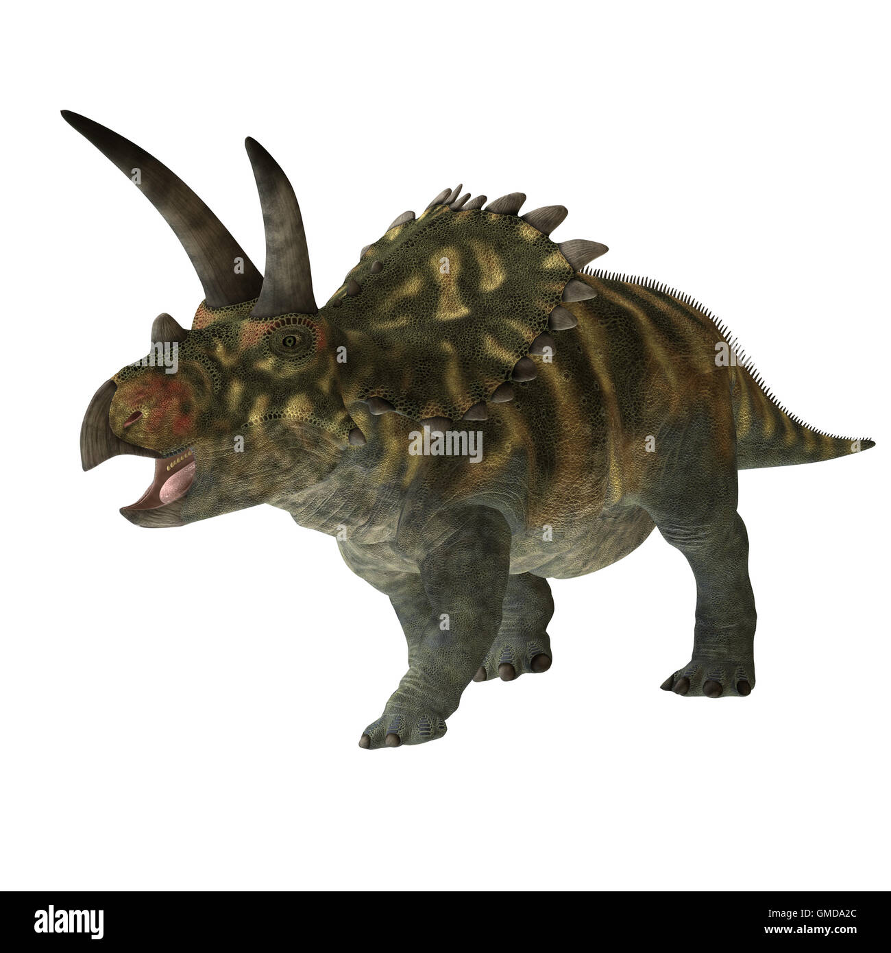 Coahuilaceratops 01 Foto Stock