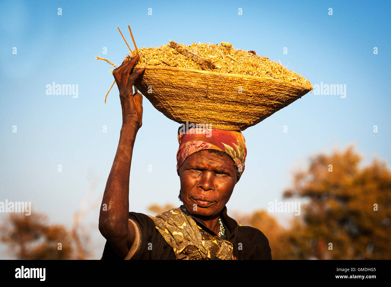 Caprivi Strip, Namibia - Agosto 20, 2011: donna africana il bilanciamento di un cestello con cereali nella sua testa in Namibia, Foto Stock