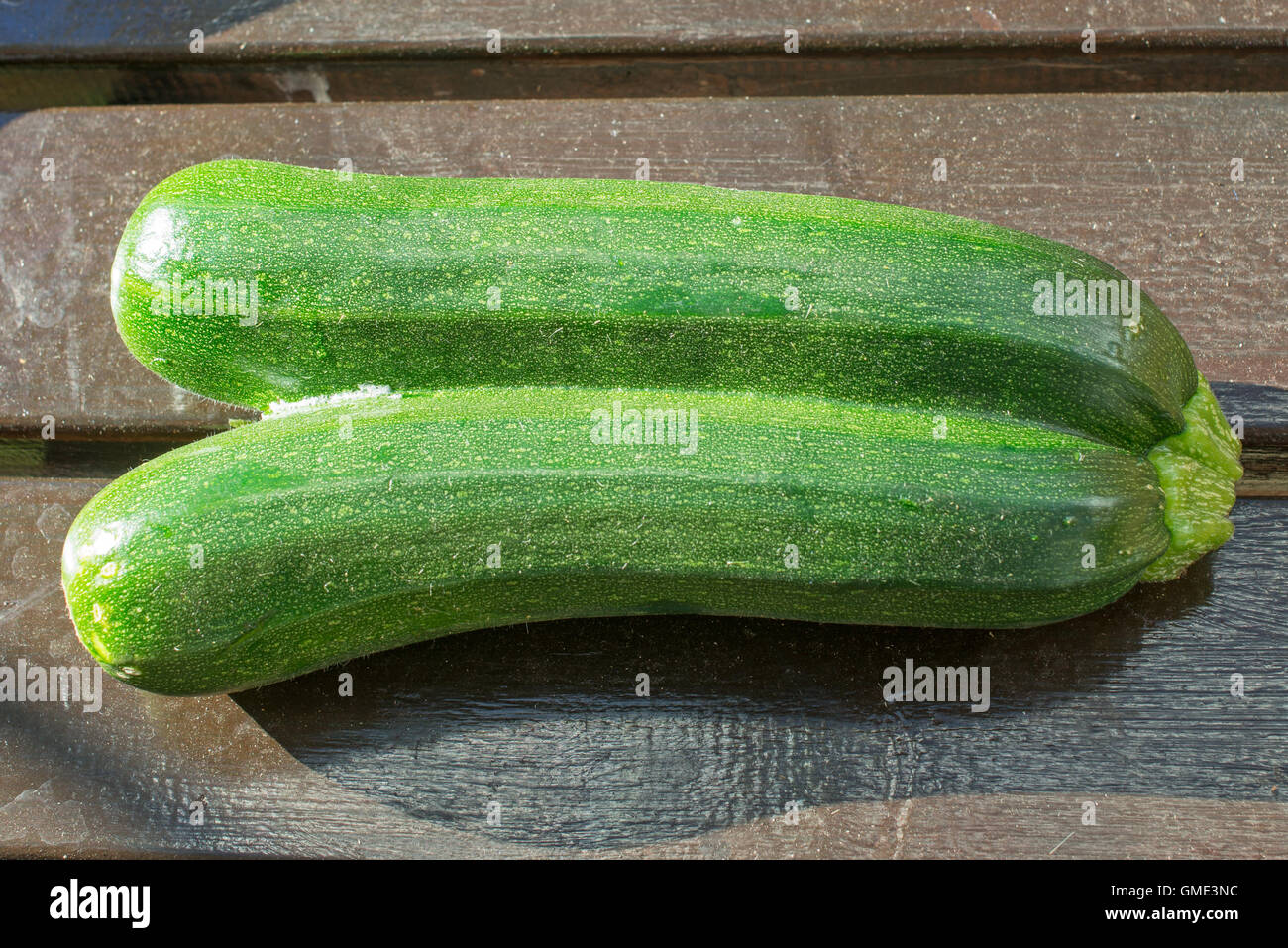 Una coppia di congiungersi zucchine, varietà di zucchine Foto Stock