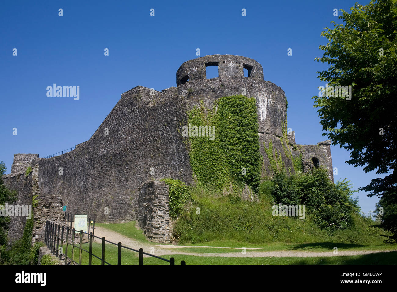 Il castello di Dinefwr dal Sud Est Foto Stock