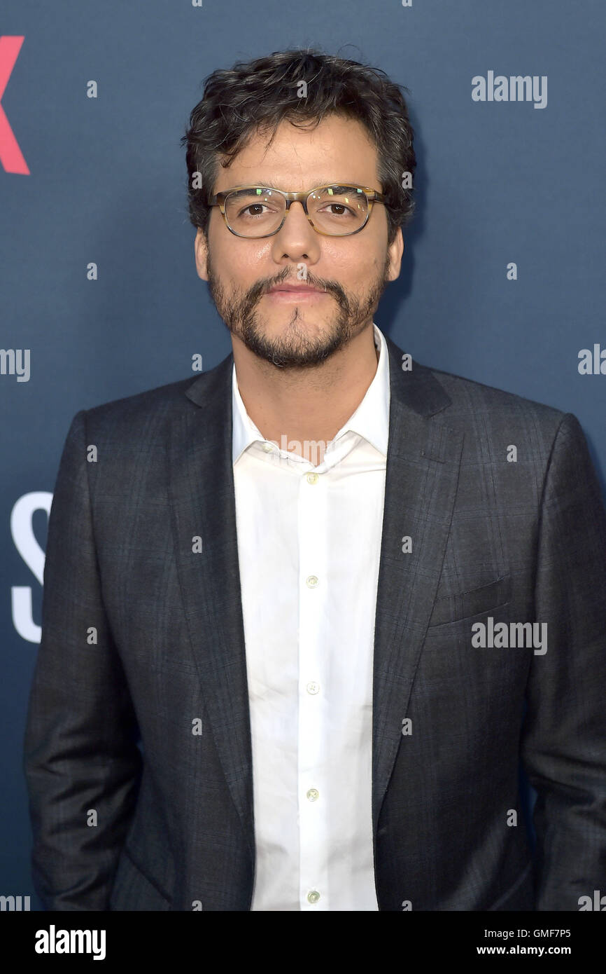 Hollywood, California. 24 Ago, 2016. Wagner Moura assiste la premiere di Netflix 'Narcos' stagione 2 a ArcLight cinema il 24 agosto 2016 a Hollywood, in California. | Verwendung weltweit © dpa/Alamy Live News Foto Stock