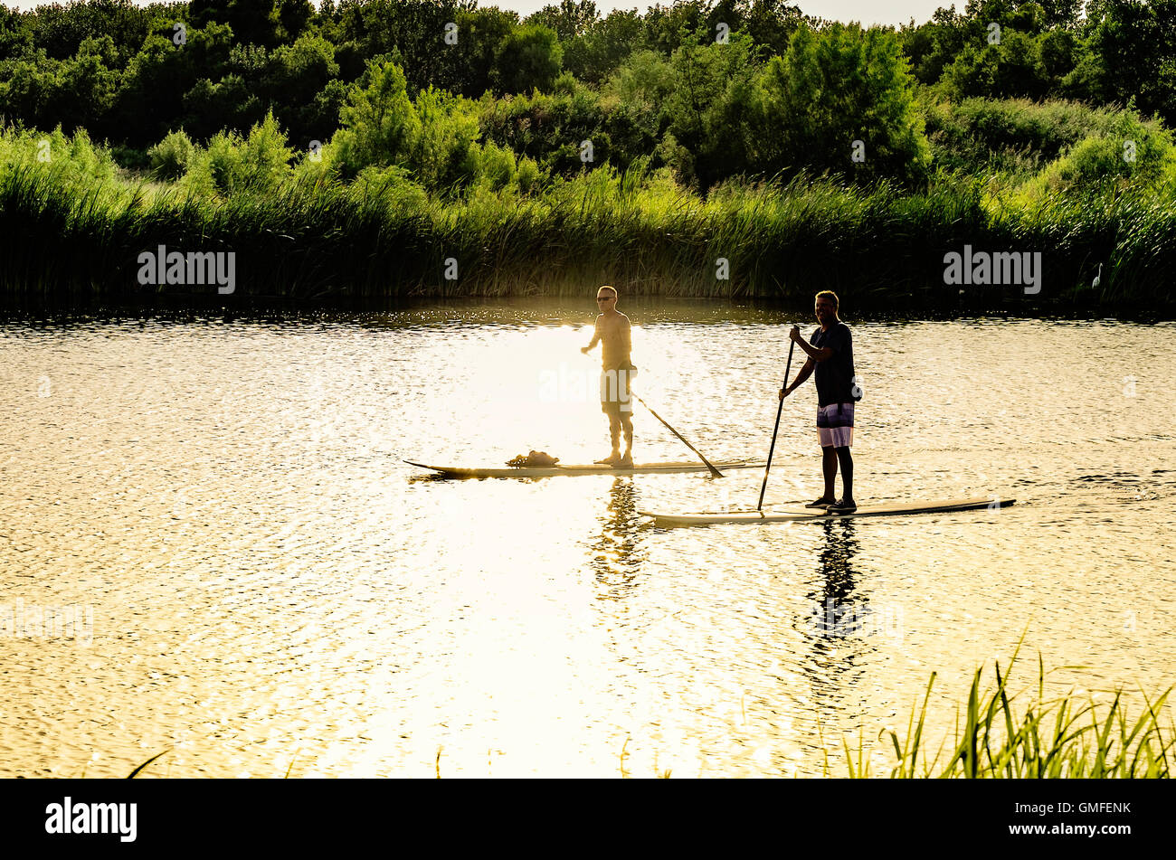 Due Caucasian uomini di mezza età oar stand up paddleboards giù il nord del fiume canadese. Tramonto riflesso, Oklahoma, Stati Uniti d'America. Foto Stock