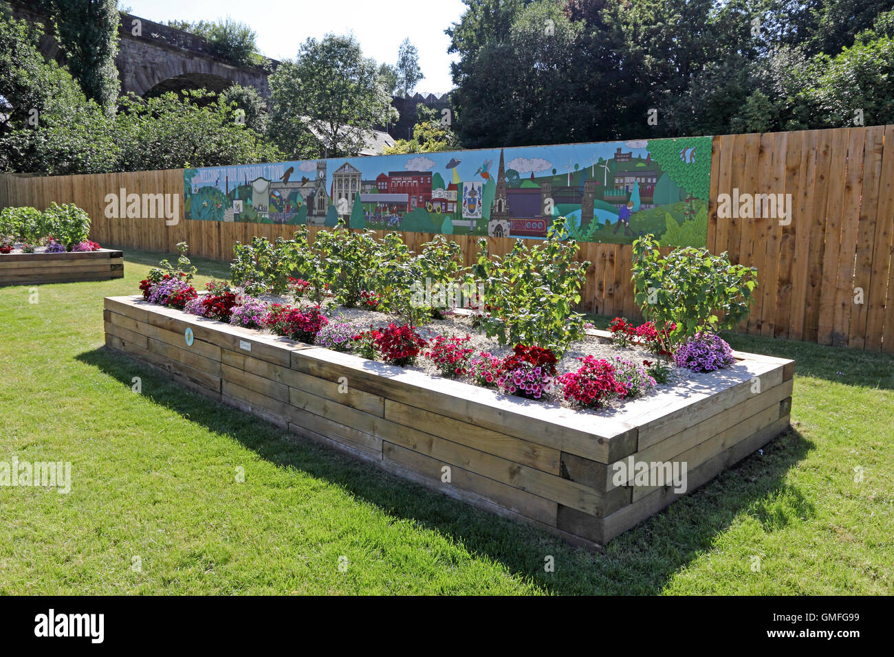 La frutta e la verdura cresce in letti sollevata come parte di incredibile schema commestibili, Todmorden Foto Stock