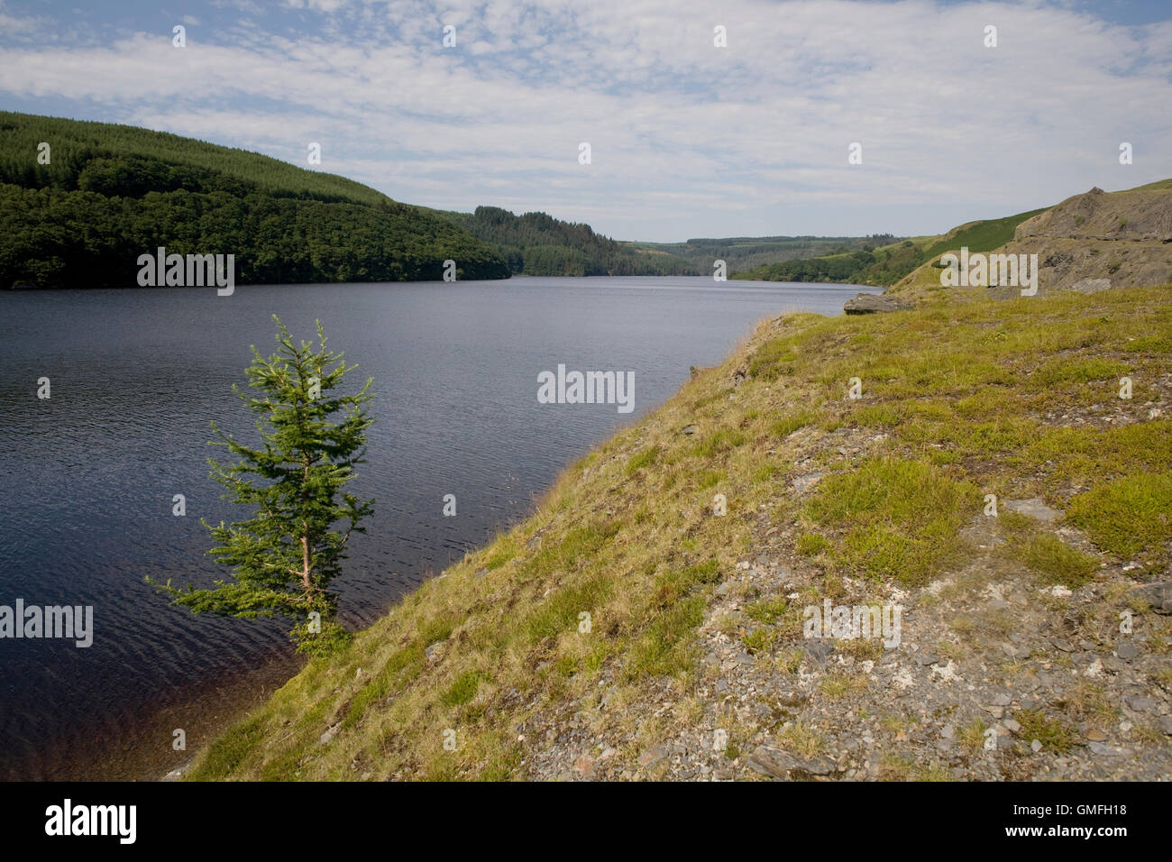 Llyn Brianne visto dall'estremità meridionale della sponda orientale Foto Stock