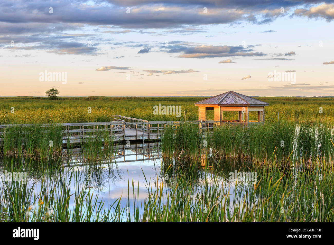 La visualizzazione della fauna selvatica cieco, Amaca Oak Marsh, Manitoba, Canada. Foto Stock