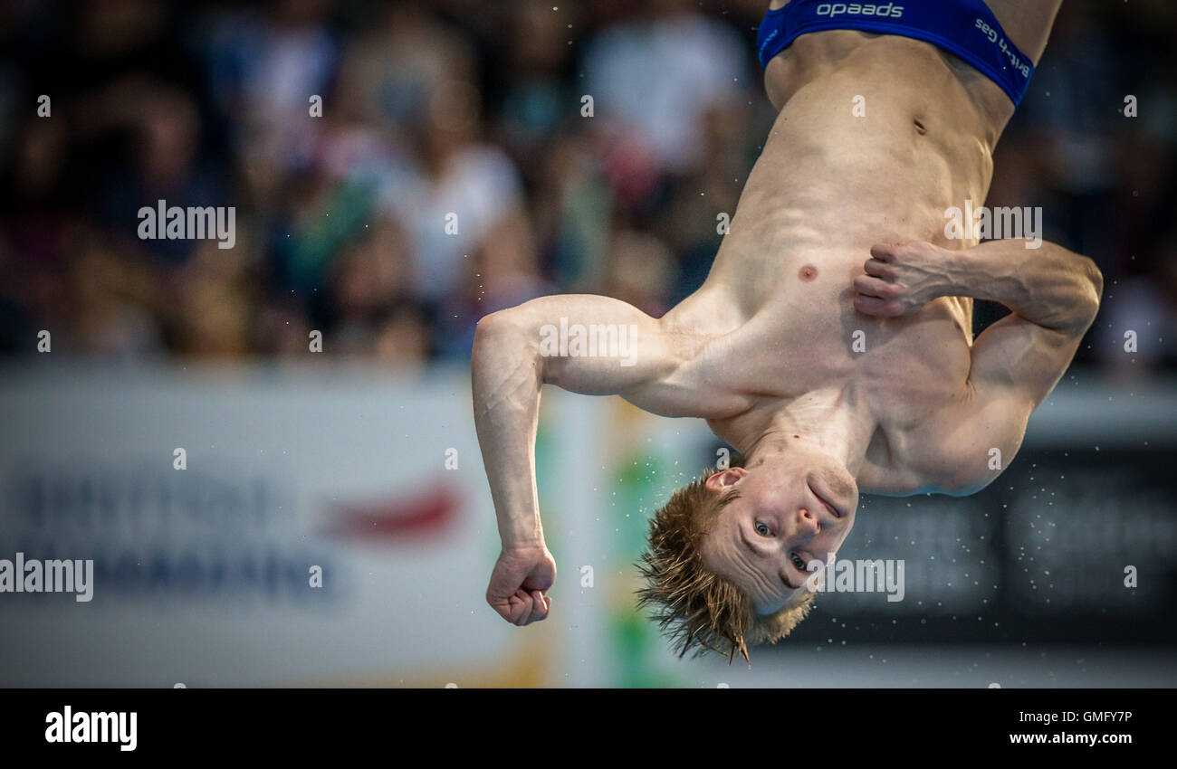 Jack Laugher della Gran Bretagna durante la FINA/cnv Diving World Series a Londra in aprile, 26, 2014. Foto Stock