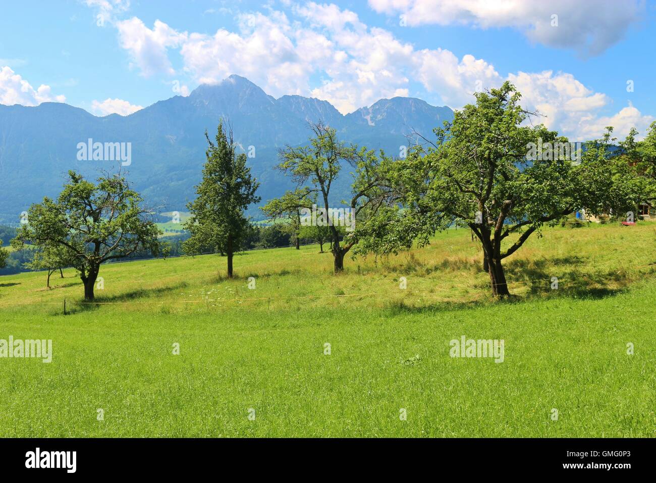 Campagna idilliaca in Baviera, Germania. Le alpi e un alpeggio. Vicino a Piding, Berchtesgadener Land. Foto Stock