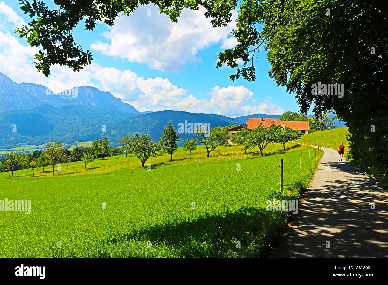 Campagna idilliaca in Baviera, Germania. Le alpi e un alpeggio. Vicino a Piding, Berchtesgadener Land. Foto Stock