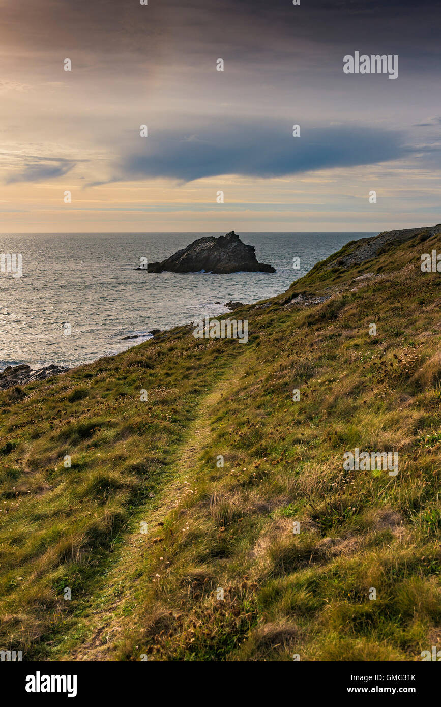 L'oca, una piccola isola rocciosa al largo della costa Est pentire a Newquay, Cornwall. Foto Stock